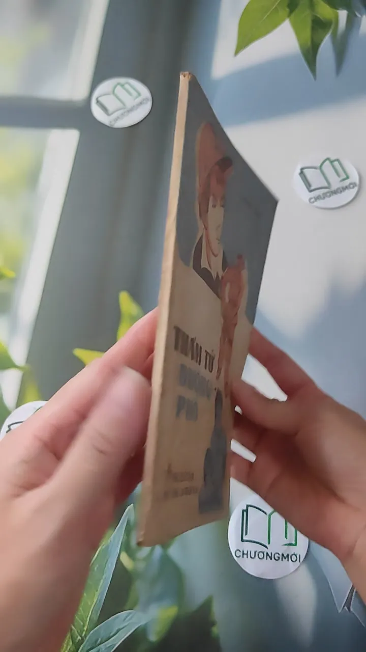 [XƯA] Thám Tử Đường Phố (1981) - Thanh Đạm 997780