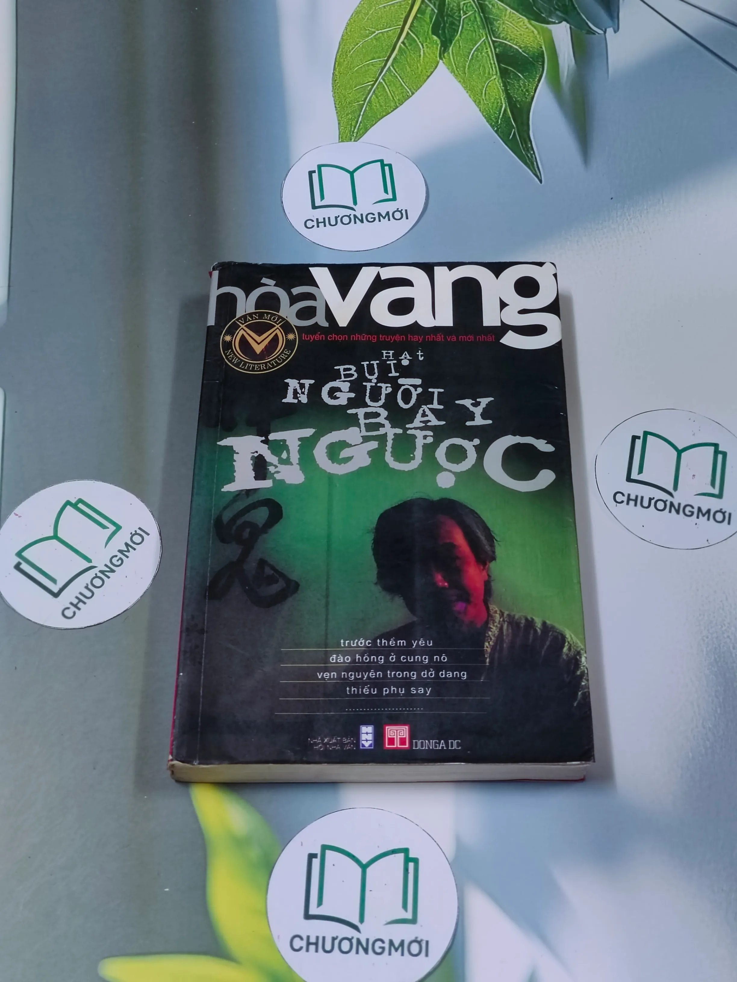 Hạt bụi người bay ngược - Hòa Vang