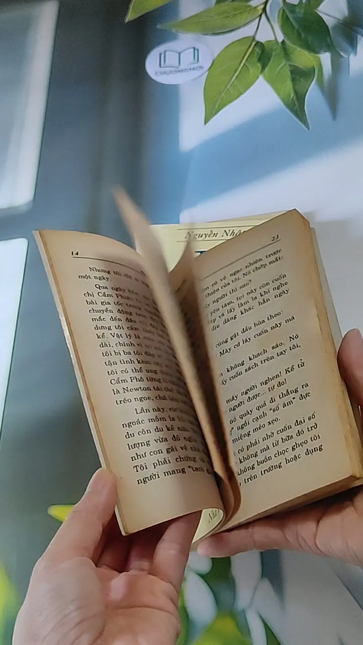 Trọn bộ Trại hoa vàng (4 tập) 607740