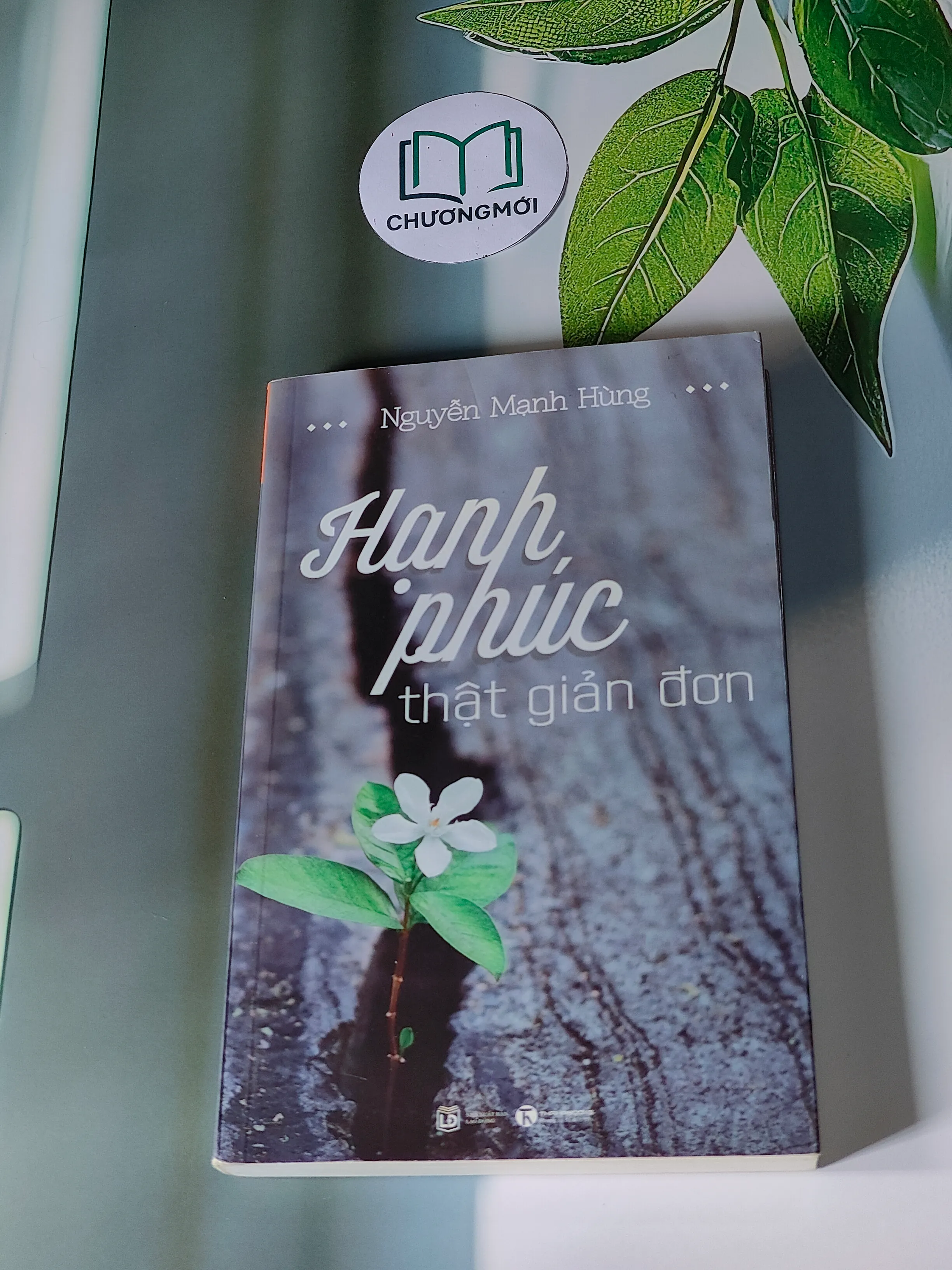 Hạnh Phúc Thật Giản Đơn - Nguyễn Mạnh Hùng