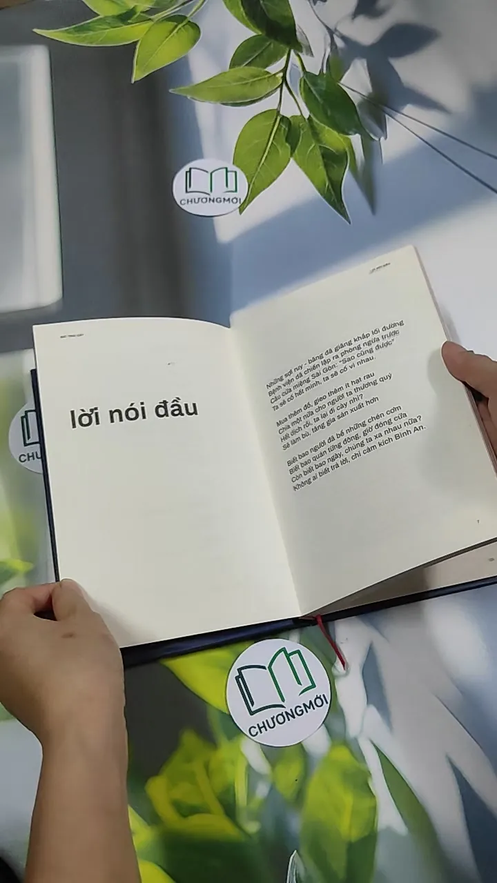 Giỏ Trái Cây - Liêu Hà Trinh 750811