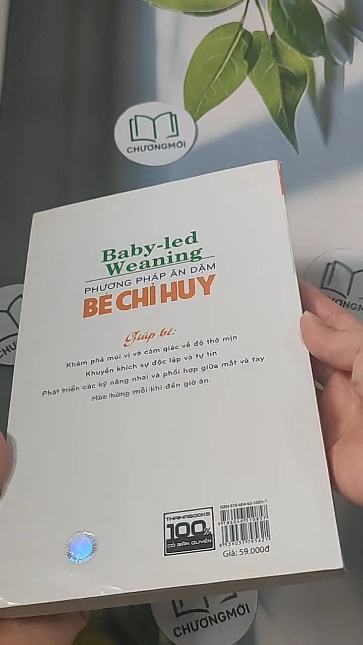 Phương pháp ăn dặm bé chỉ huy 688485