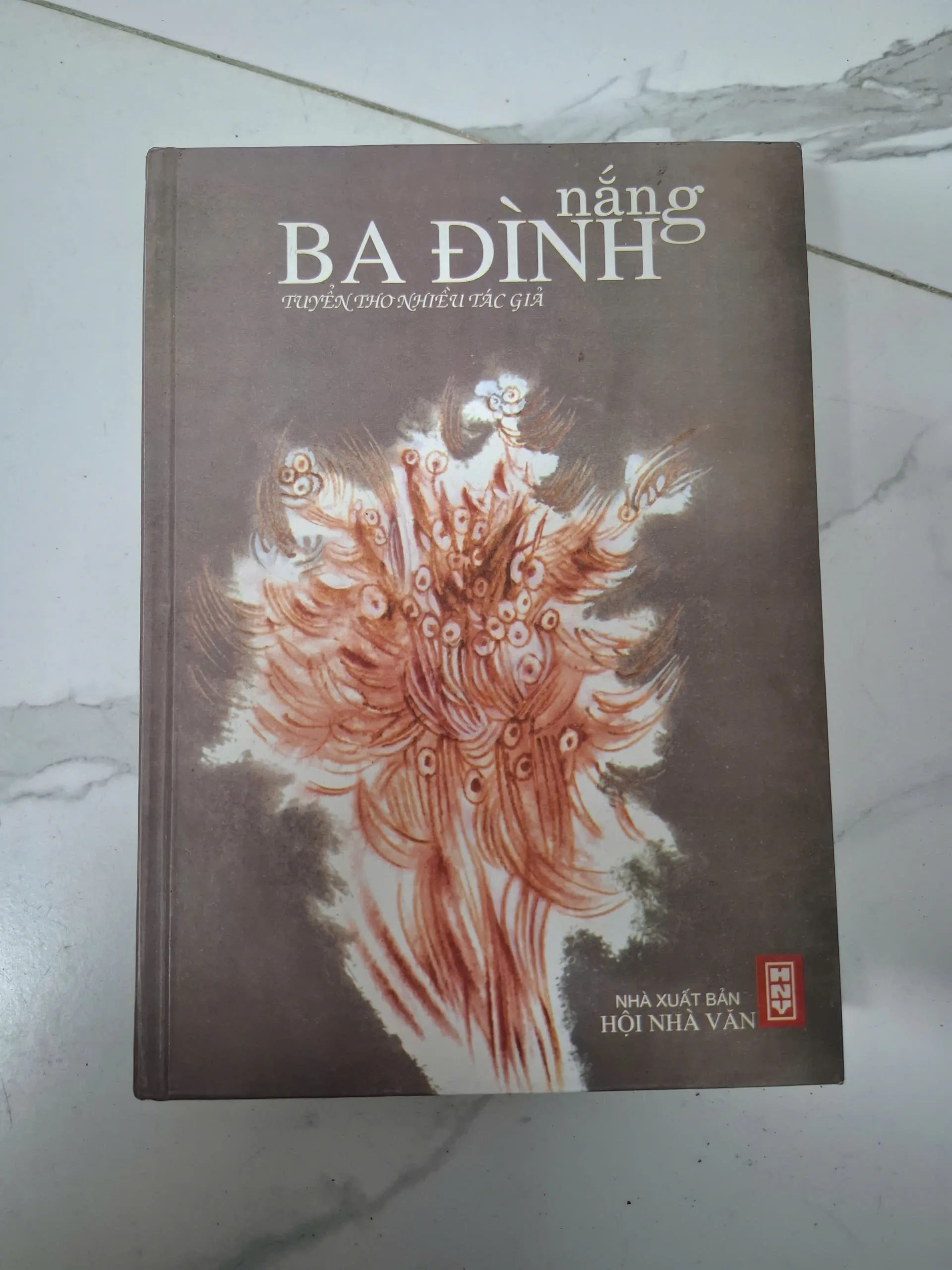 Nắng Ba Đình (Tuyển thơ) - Nhiều tác giả - Thơ