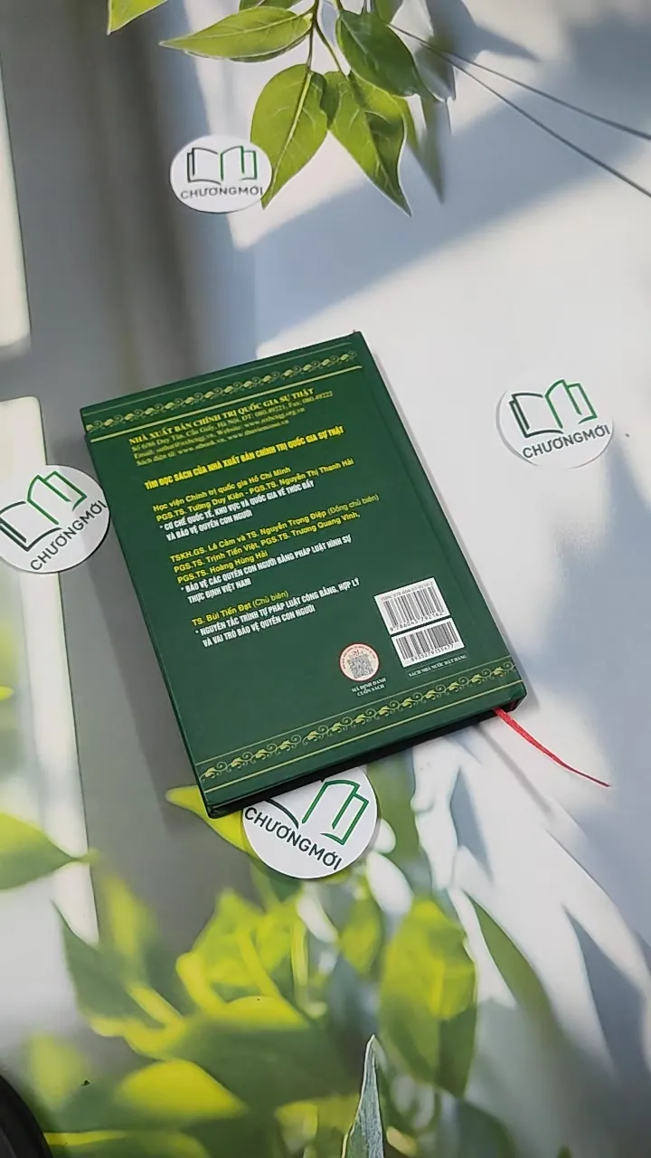 [MIỄN PHÍ BỌC SÁCH] Cơ Chế Pháp Lý Về Bảo Hộ Công Dân Ở Việt Nam - Phan Thanh Hà 750821