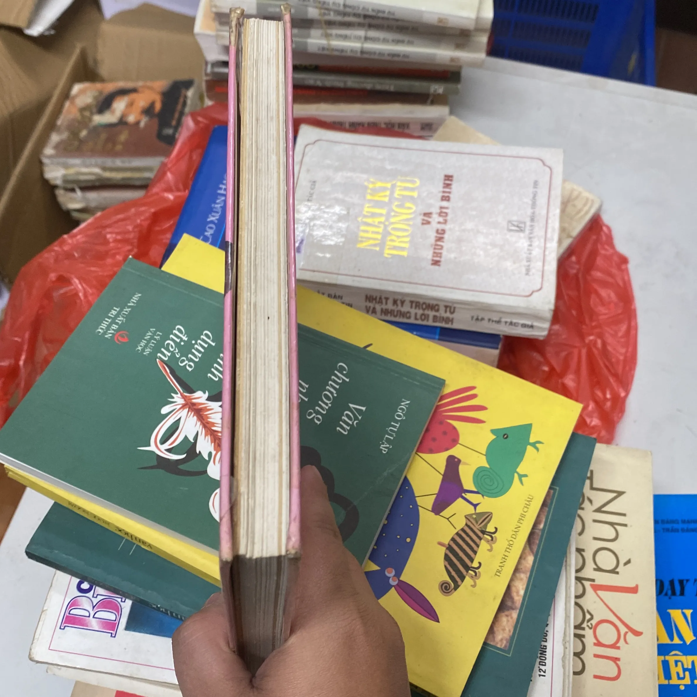 ÔNG GIÀ KHỐT TA BÍT - lla ghin 752797