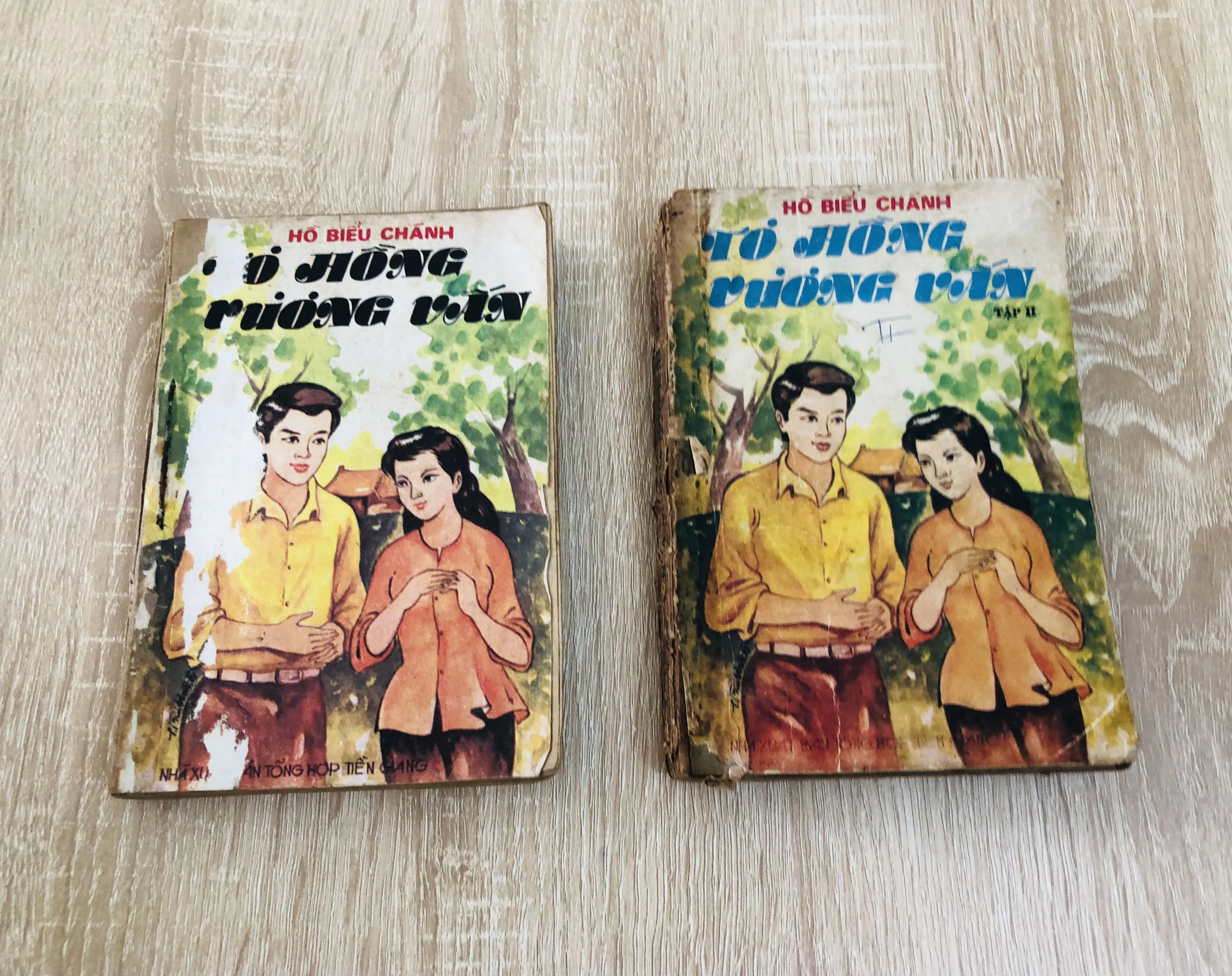 TƠ HỒNG VƯƠNG VẤN – Hồ Biểu Chánh (đủ 2 tập)