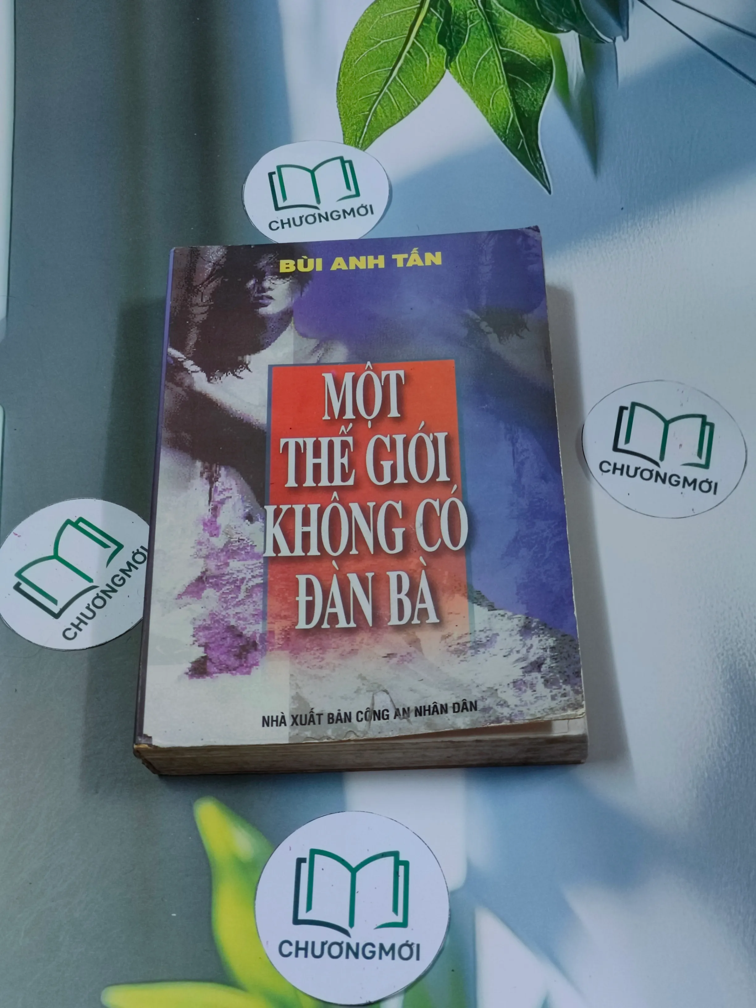 Một thế giới không có đàn bà - Bùi Anh Tấn