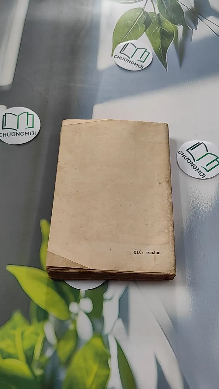 [XƯA] Tình Biển (1987) - Nguyễn Nguyên Bảy 776055