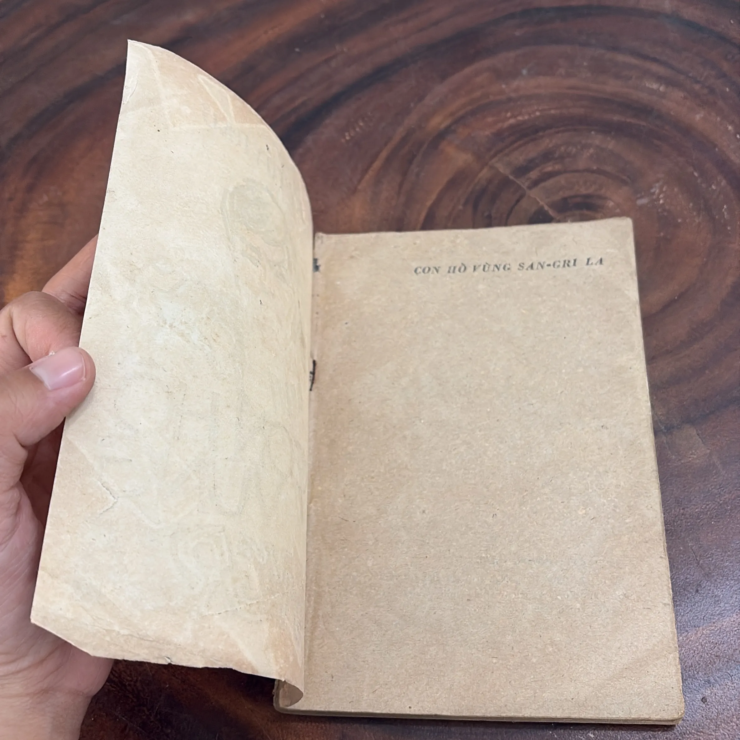 II Văn Học: Con Hổ Vùng Sangrila - HARY TUYRKƠ - 1986 1005269