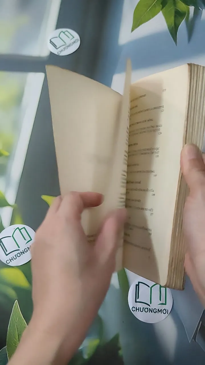 [XƯA] Những Khuôn Mặt Trẻ (1990) 997822