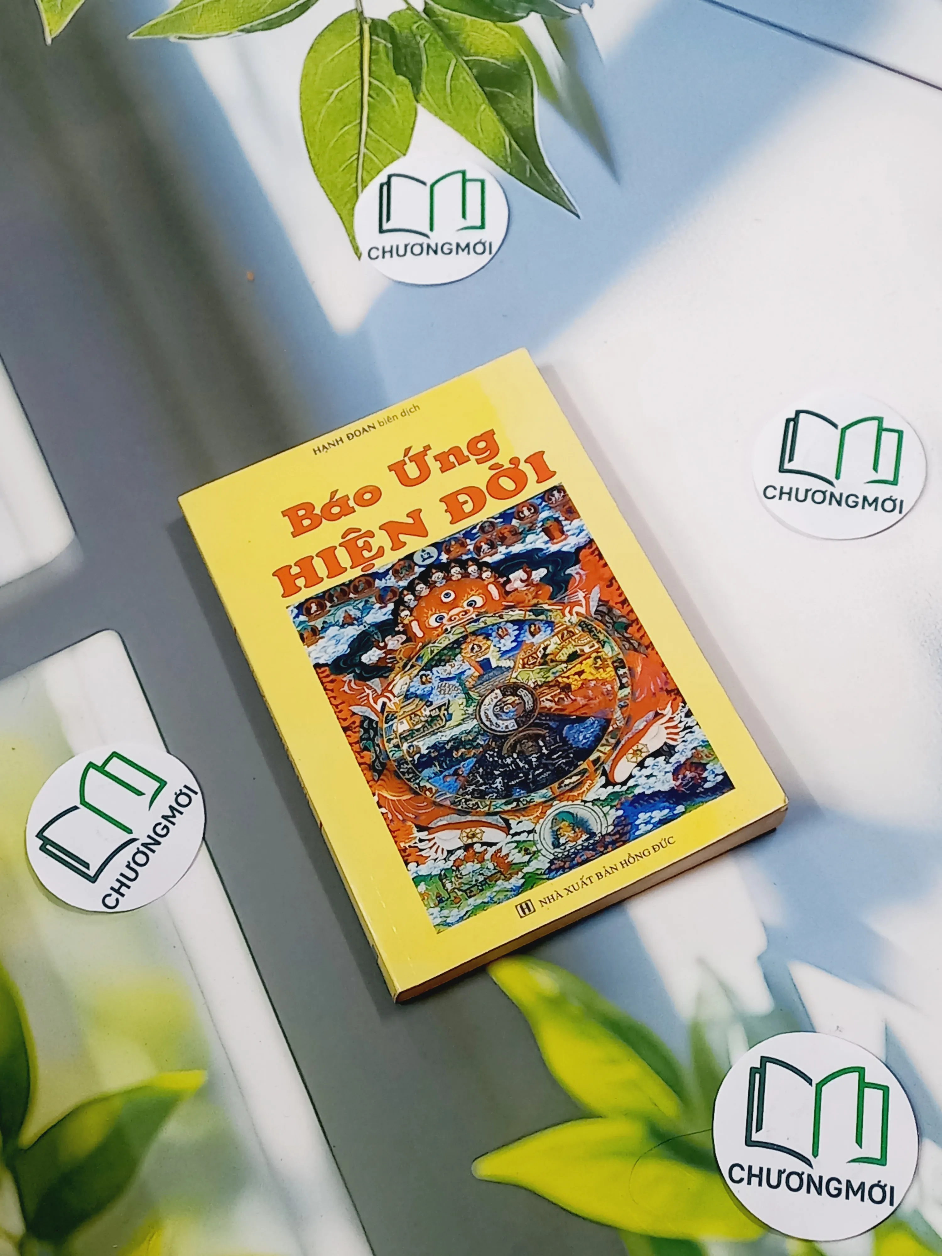 Báo Ứng Hiện Đời - Hạnh Đoan