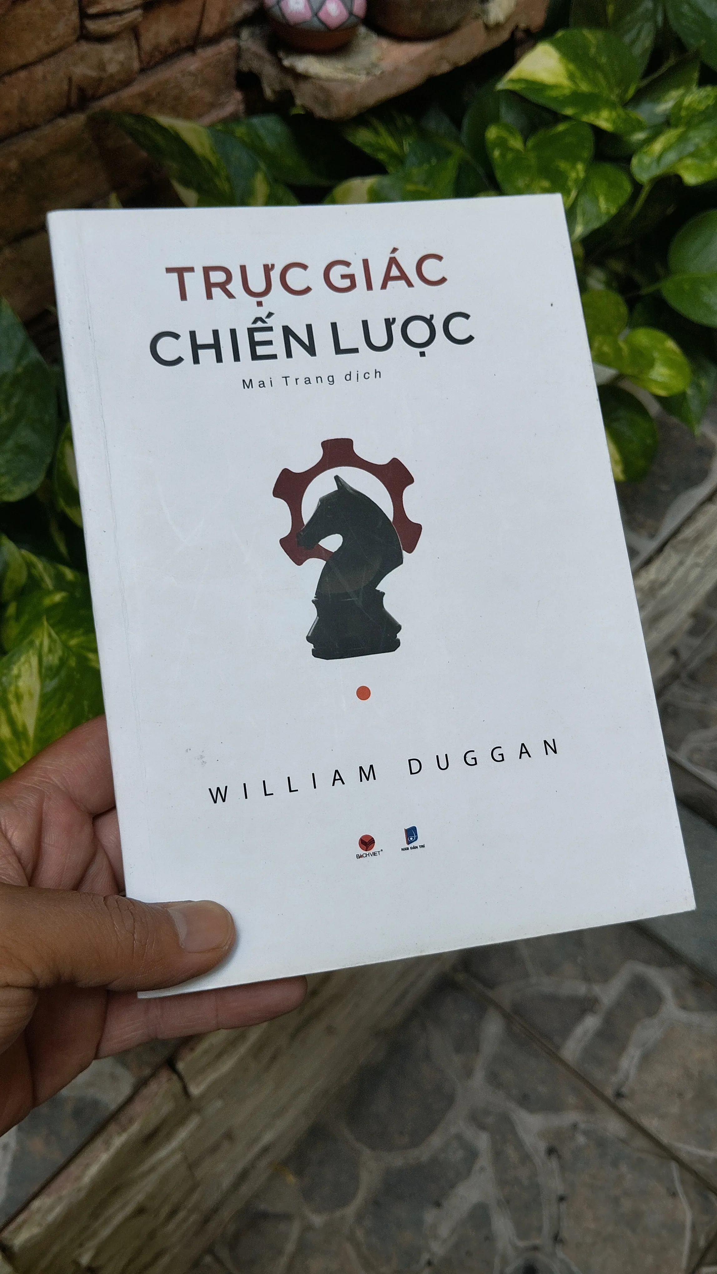 Trực giác chiến lược  1001192