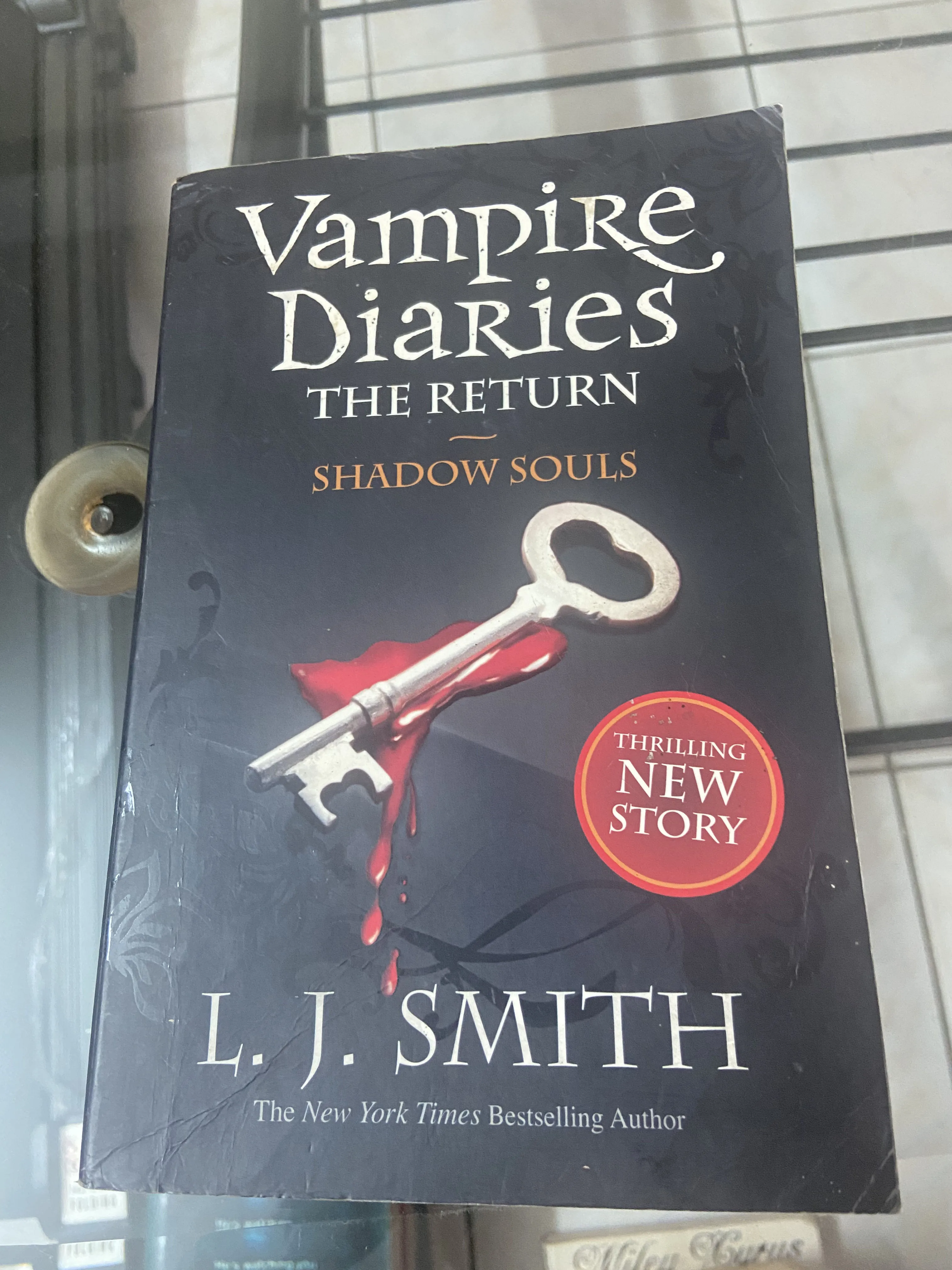 The Vampire Diaries The Return Shadow Souls - L.J.Smith 
