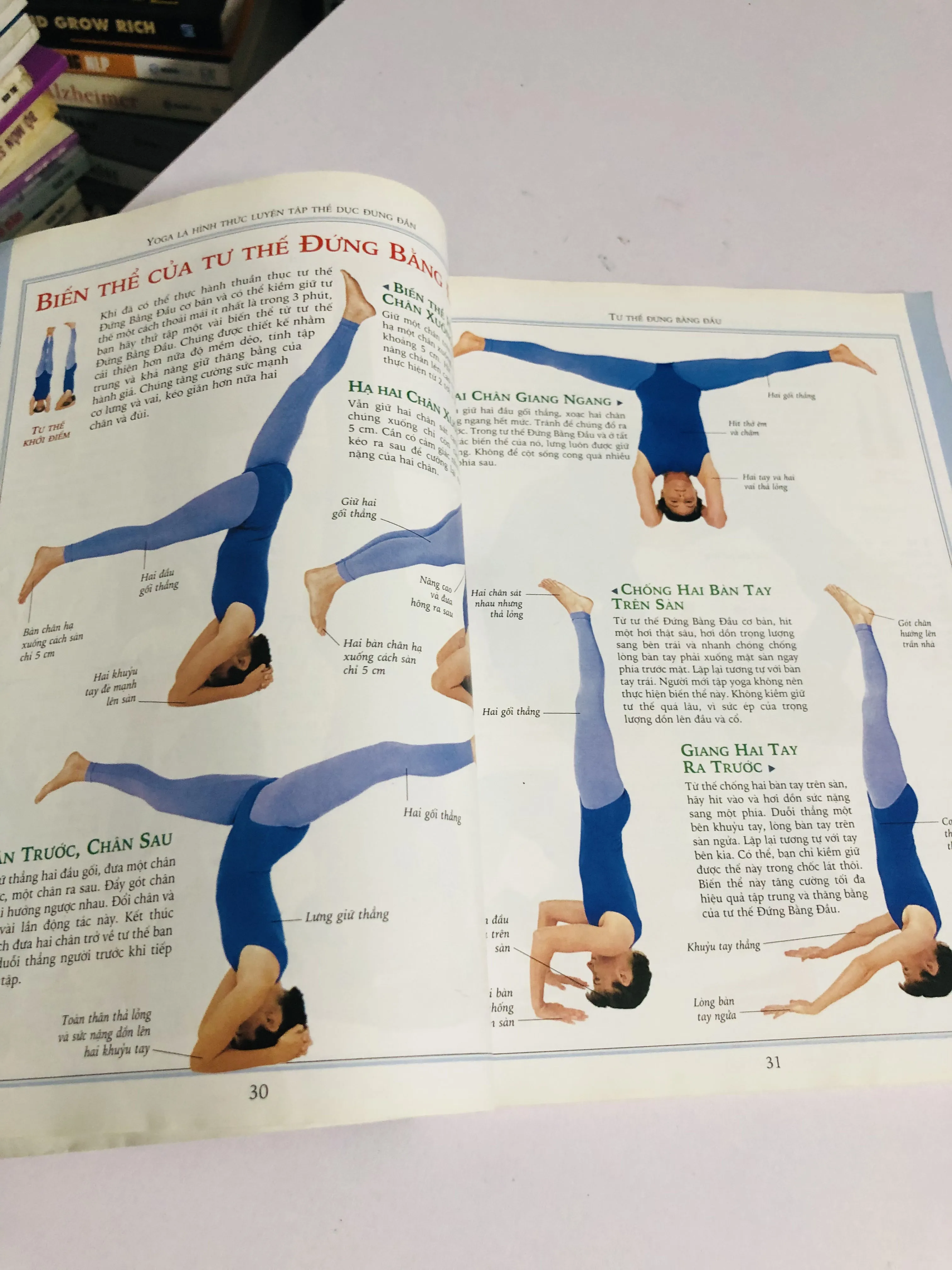 YOGA KHOẺ & ĐẸP  605365