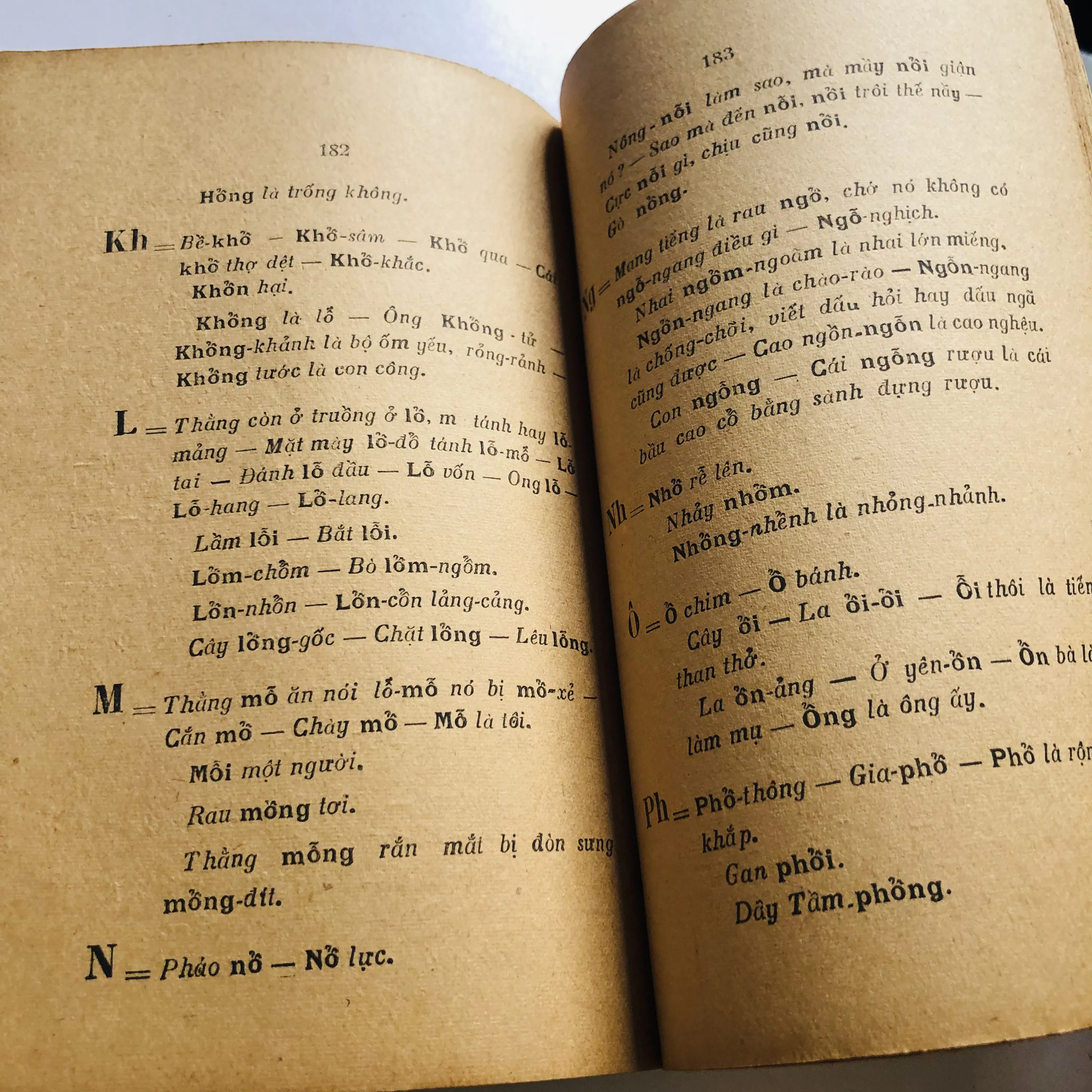TRÙNG ÂM DỊ TỰ – Phạm Hữu Điển 1949 752808