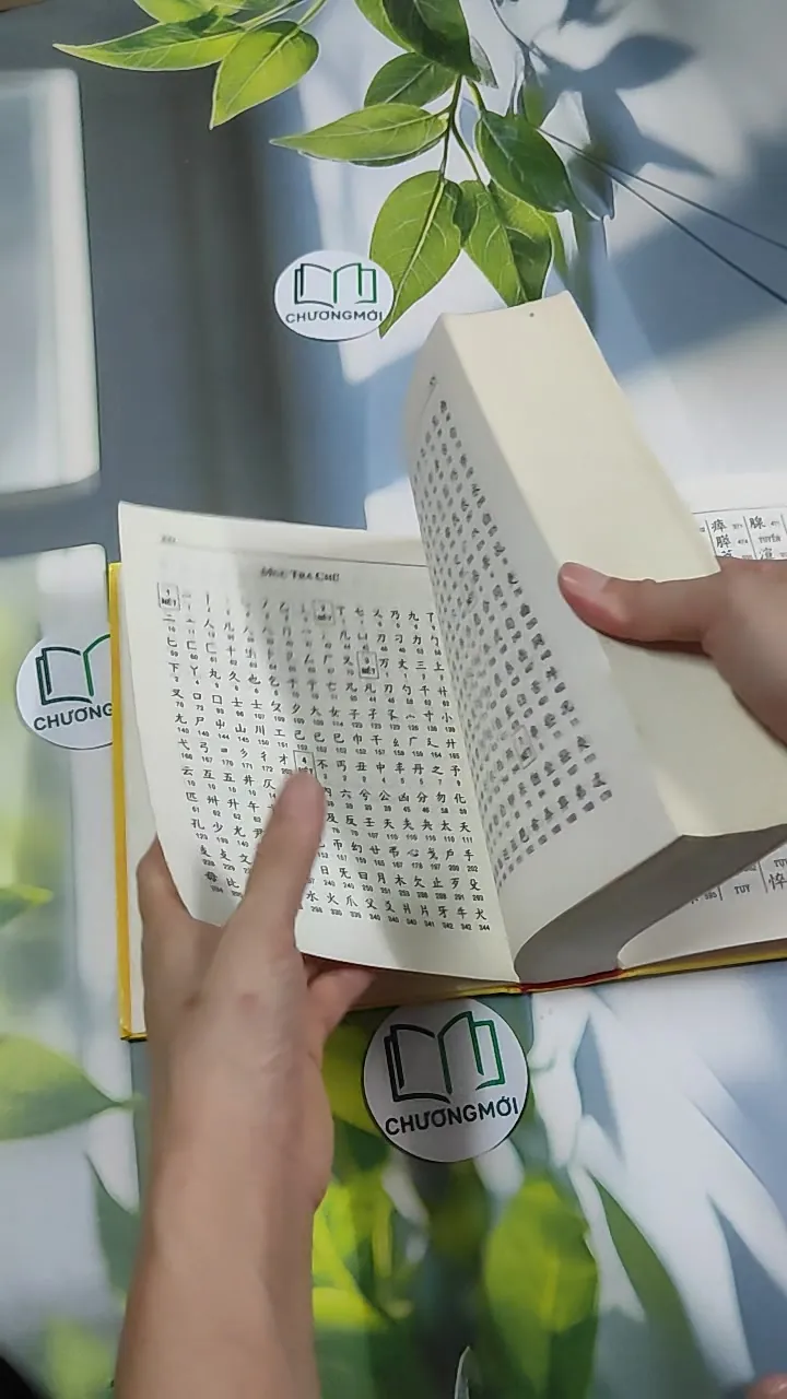 [MIỄN PHÍ BỌC SÁCH] Hán Việt Tự Điển - Thiều Chửu 750810