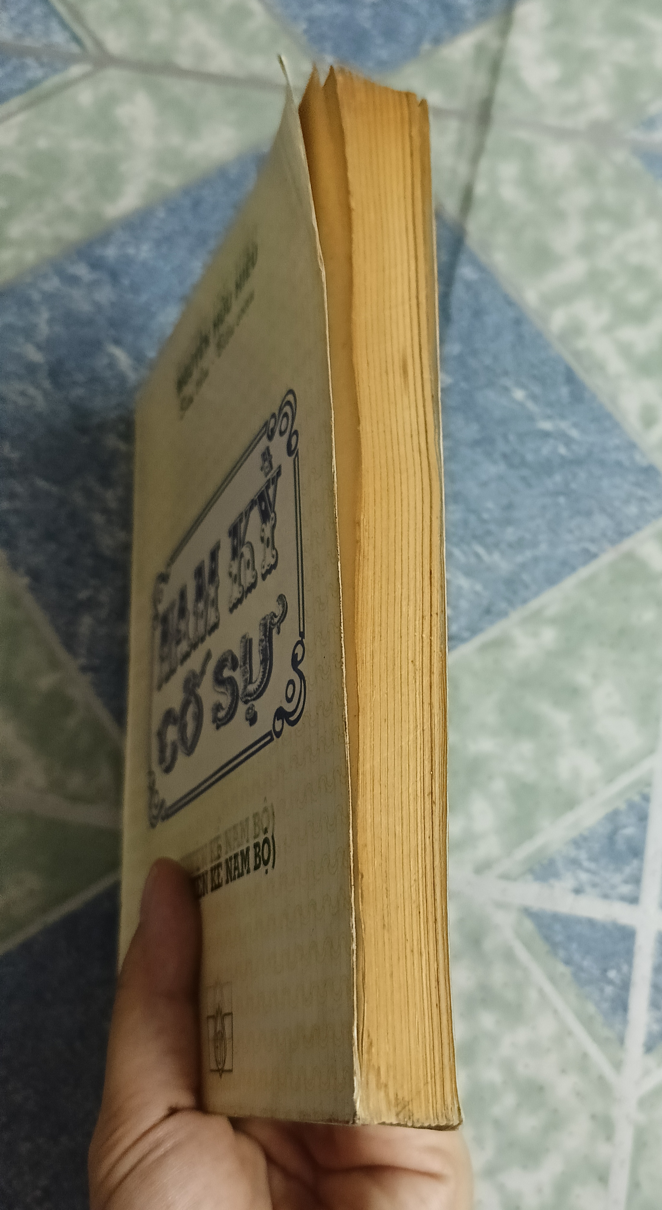 Nam kỳ cố sự - Nguyễn Hữu Tiến 533897