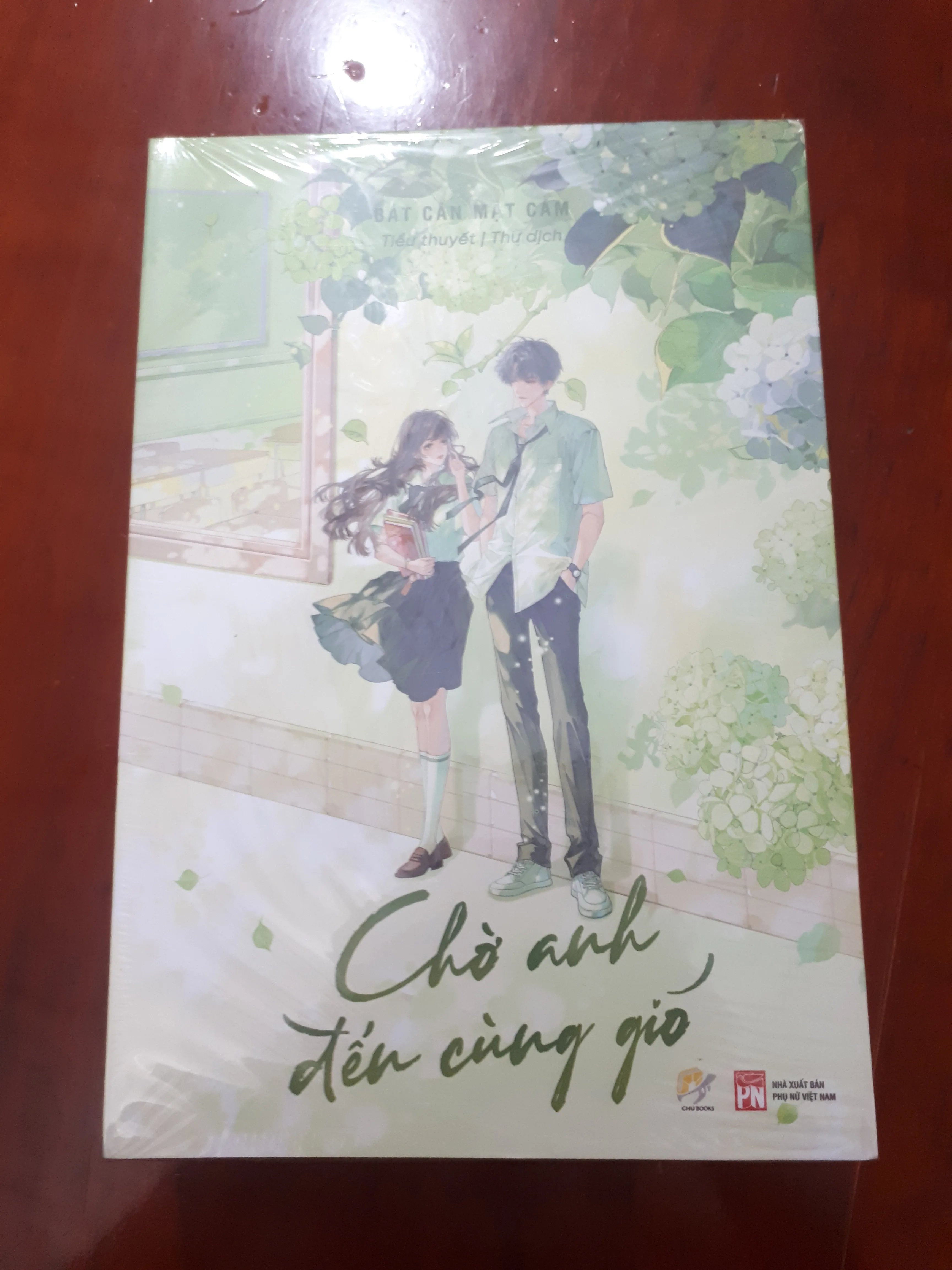 Sách - Chờ anh đến cùng gió (bản thường) seal - Bát Cân Mật Cam (Thư dịch)