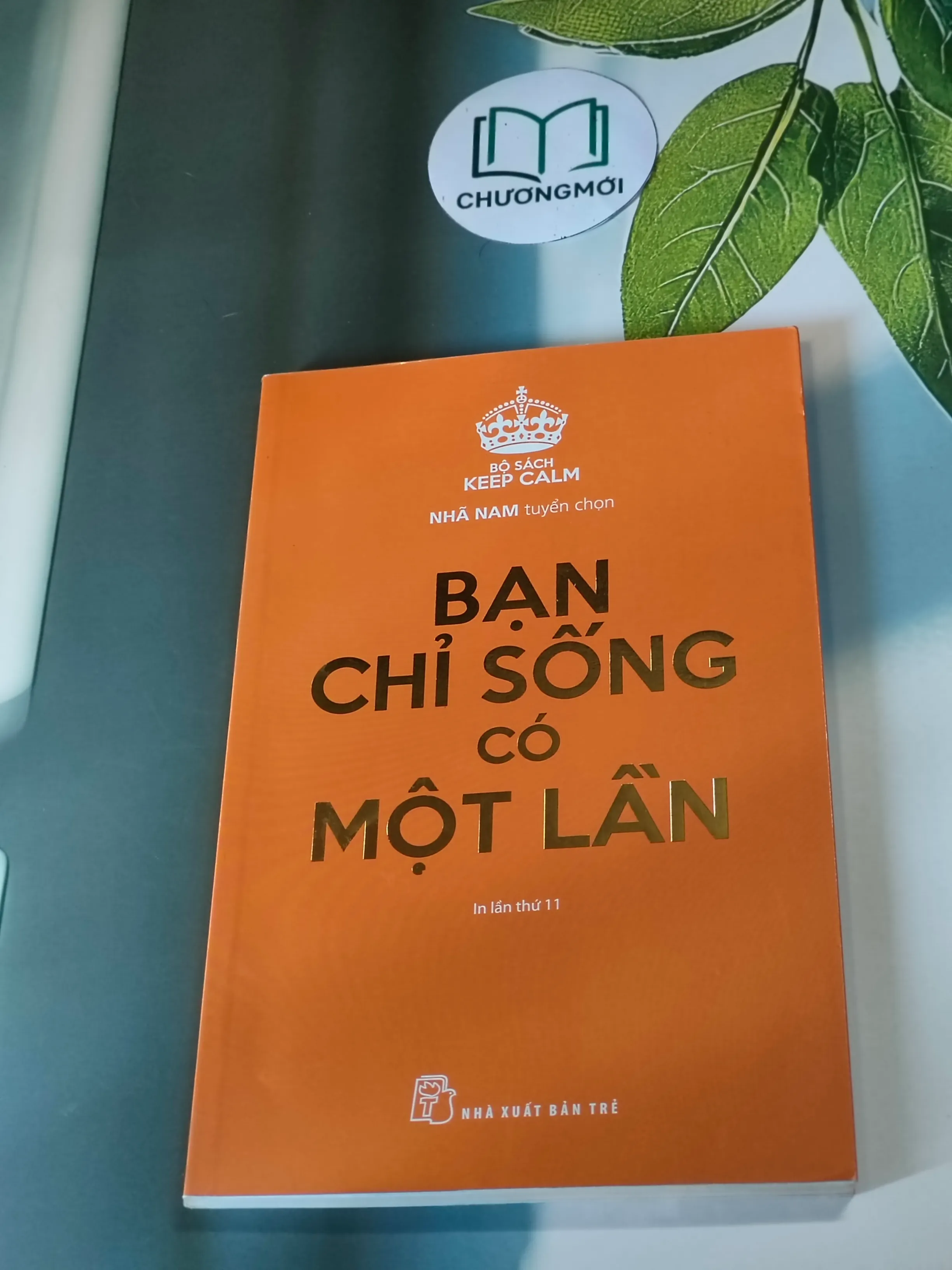 Bạn chỉ sống có một lần - nhà sách Nhã Nam