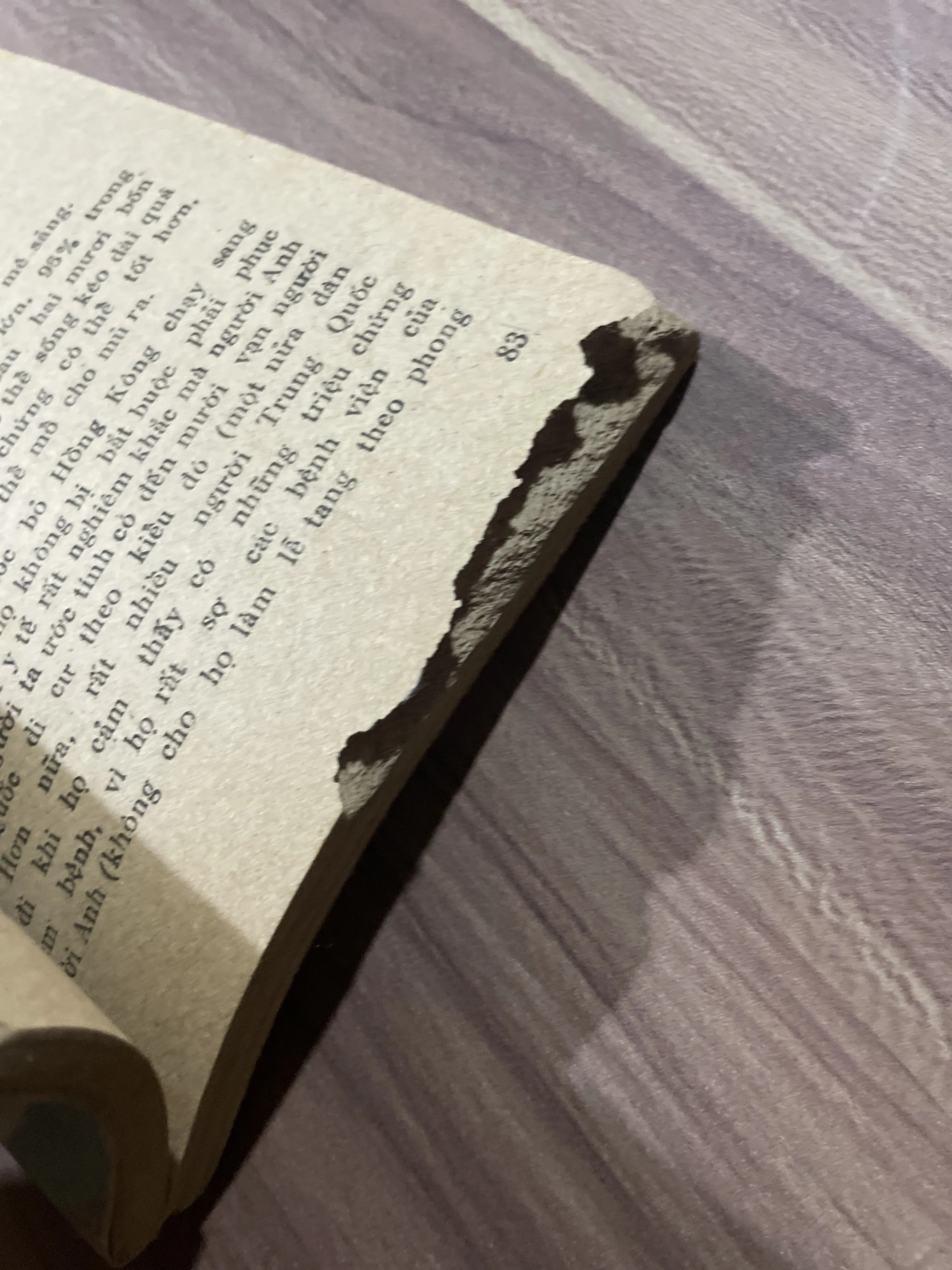 Những cuộc thám hiểu của Yersin, sách bị mọt- không ảnh hưởng nội dung 696829