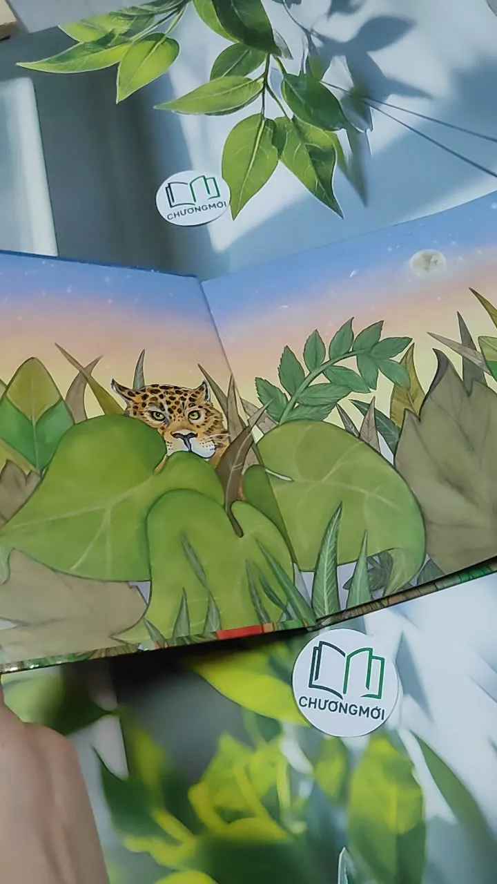 Truyện thiếu nhi Hàn Quốc: Moyamo Anu 26 -  모야모 아누와: 달나라 하얀 달꽃 750839