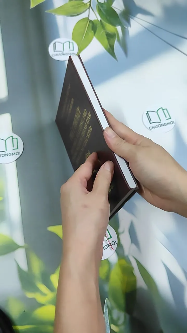 Đại Thừa Vô Lượng Thọ Trang Nghiêm Thanh Tịnh Bình Đẳng Giác Kinh - HT. Thích Đức Niệm 750812