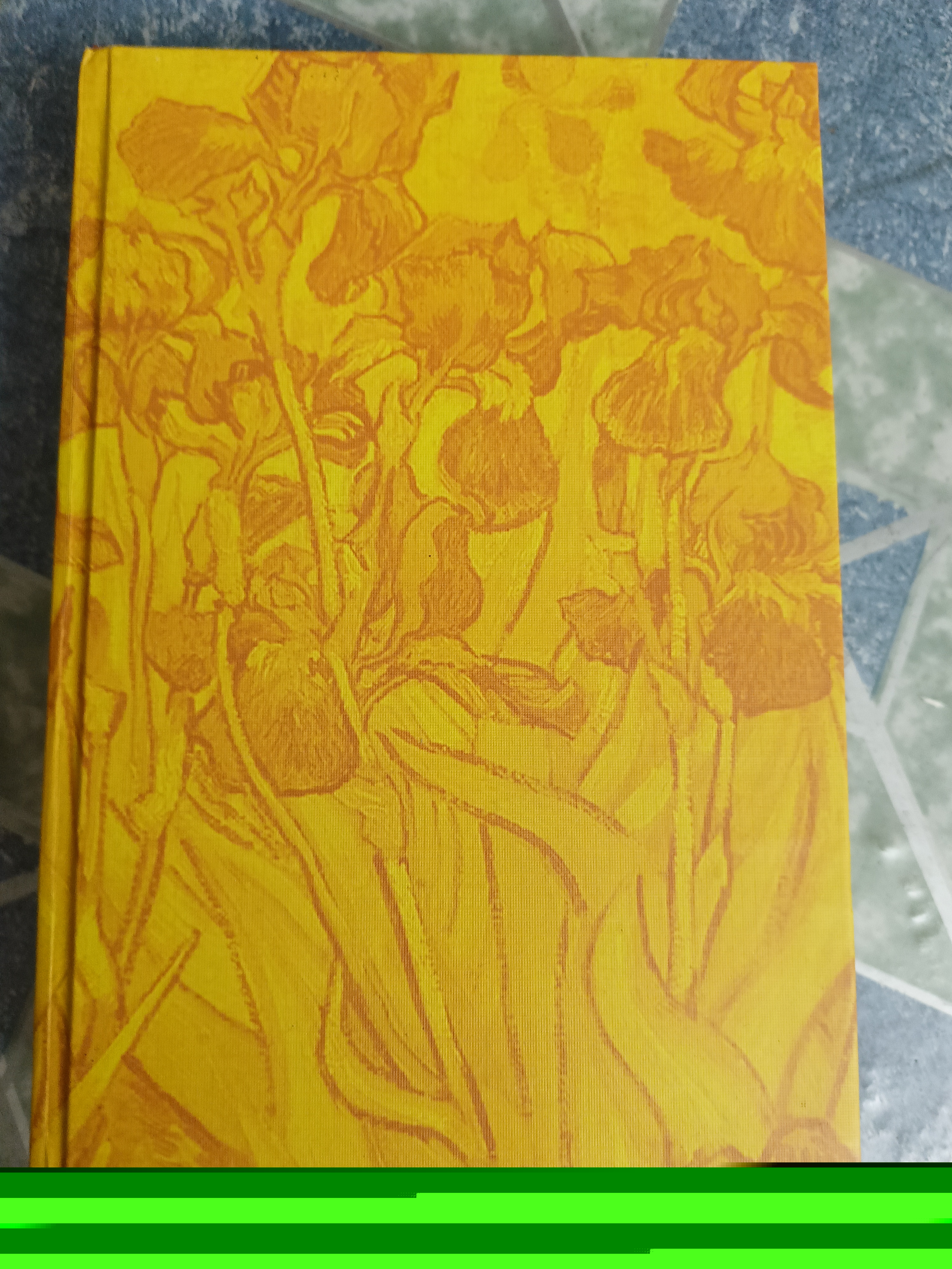 Van Gogh the life - Steven Naifeh & Gregory White Smith