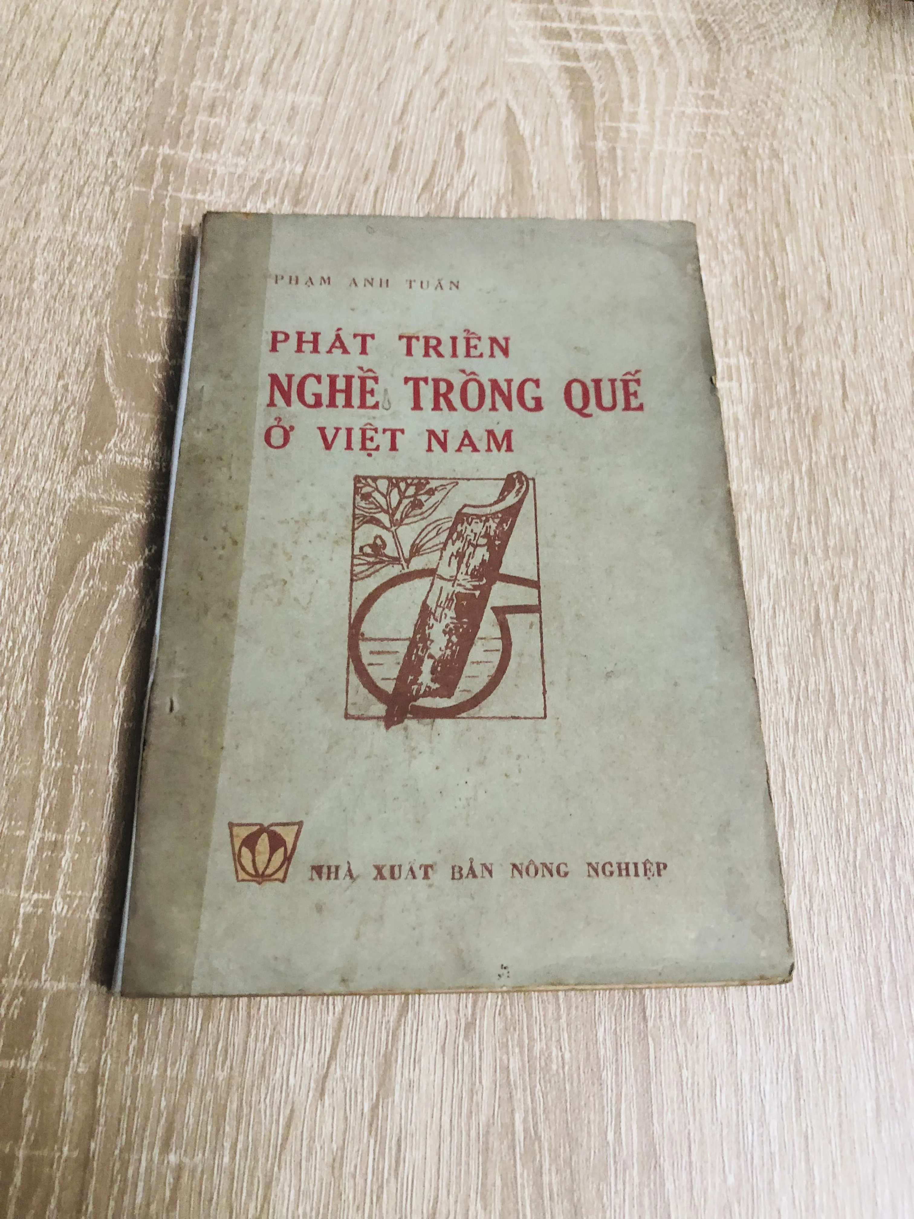PHÁT TRIỂN NGHỀ TRỒNG QUẾ Ở VIỆT NAM