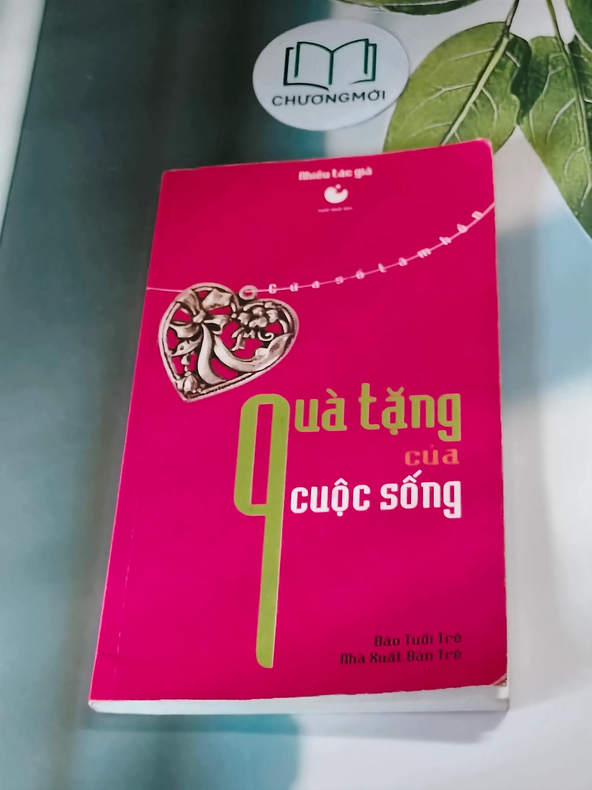 Quà tặng của cuộc sống (2004)