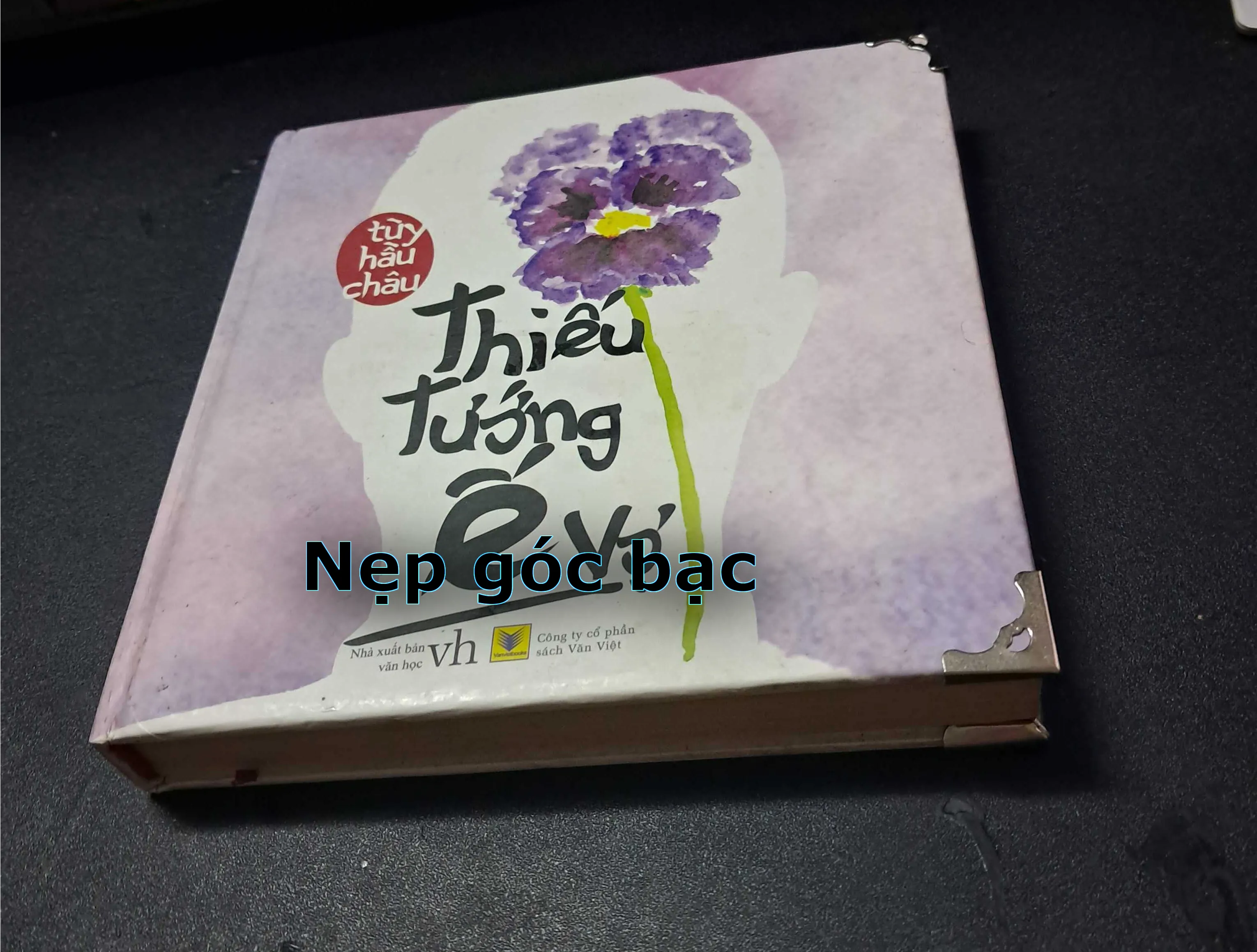 Thơ Tình Tinh Tuyển Việt Nam Và Thế Giới 750813