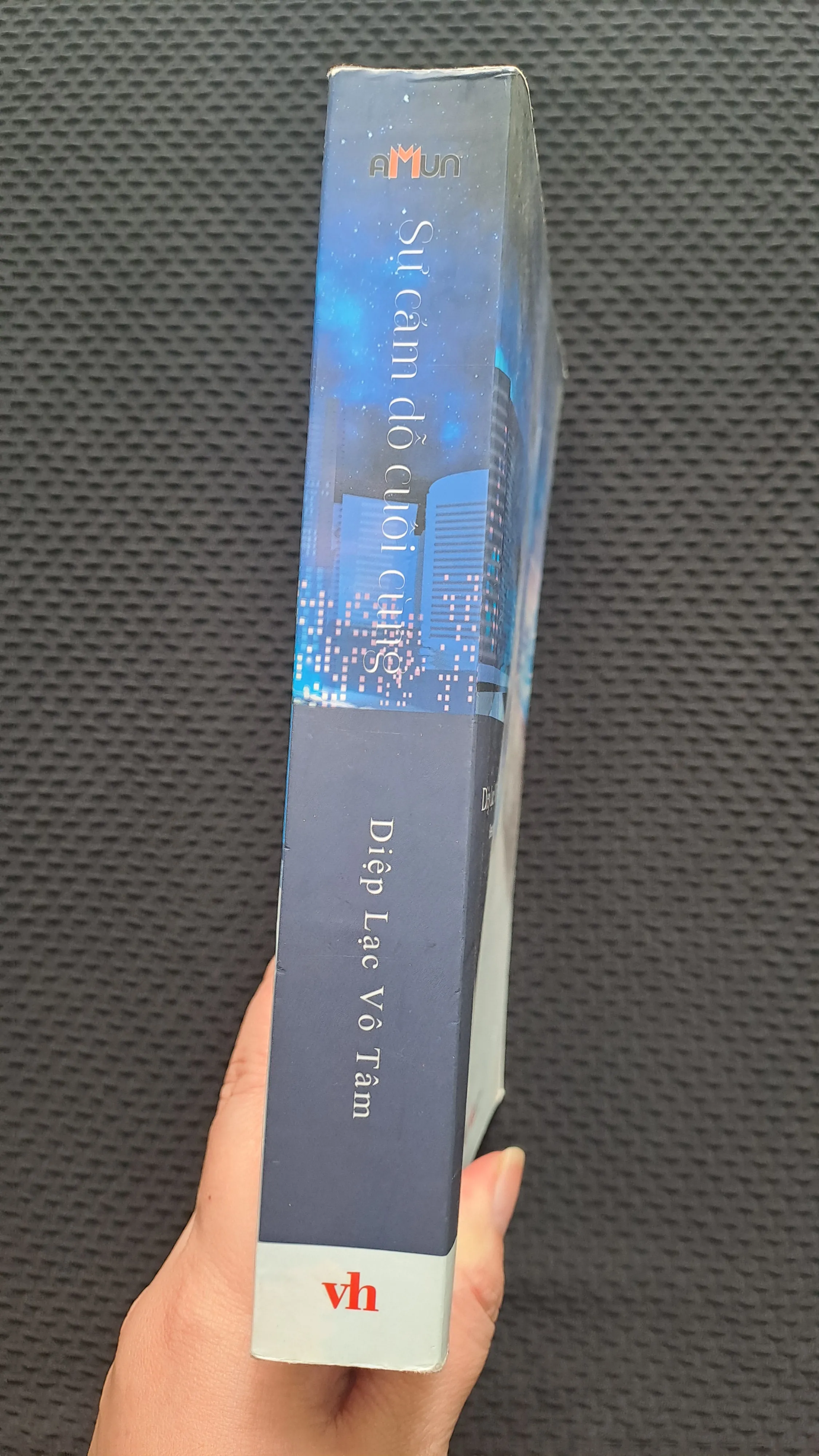 Sự cám dỗ cuối cùng - Diệp Lạc Vô Tâm 1004526