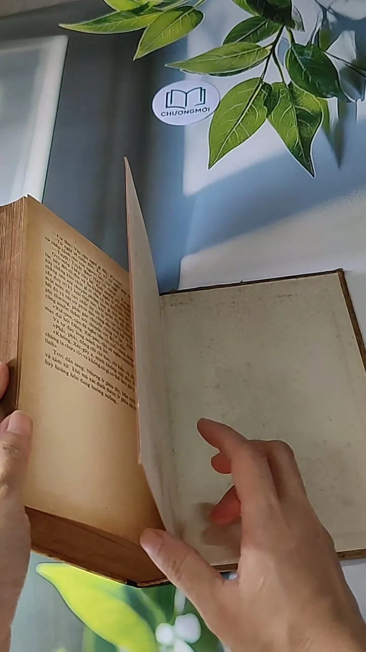 Người Thay Thế Chưa Tới (1986) - Nikolai Kambulev 607724