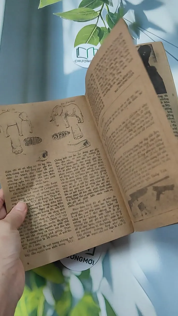 Tạp Chí Khoa Học Phổ Thông: Thảo Cầm Viên TP. Hồ Chí Minh 775989