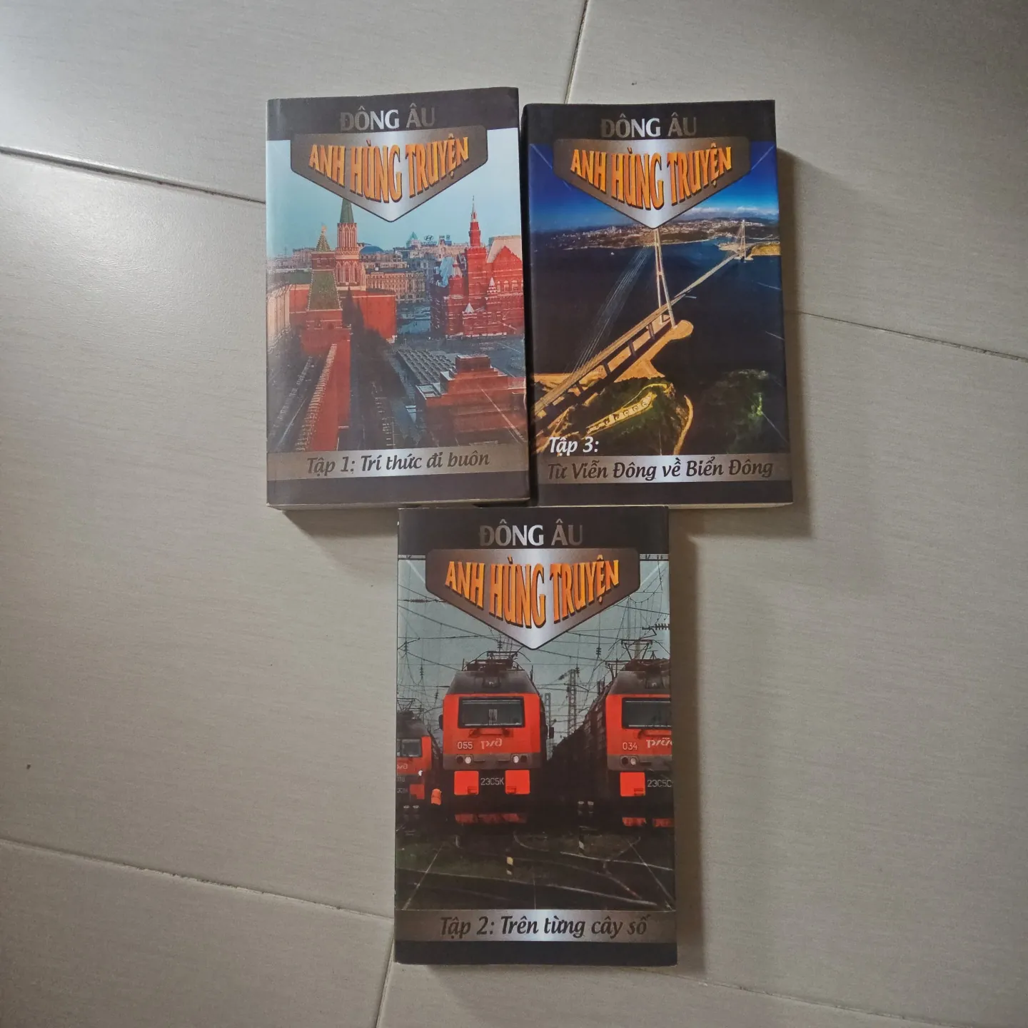 SÁCH HIẾM: Đông âu anh hùng truyện