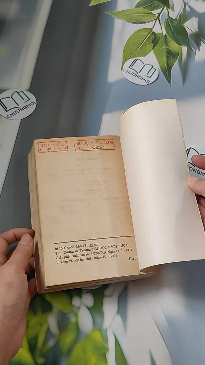 [XƯA] Đỉnh Đồi (1994) - Irwin Shaw 776066