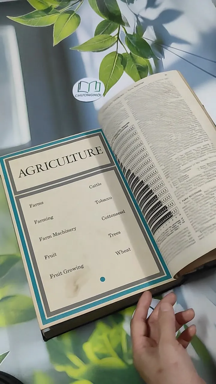 [MIỄN PHÍ BỌC SÁCH] Encyclopedia Americana 30 - Scholastic 750842