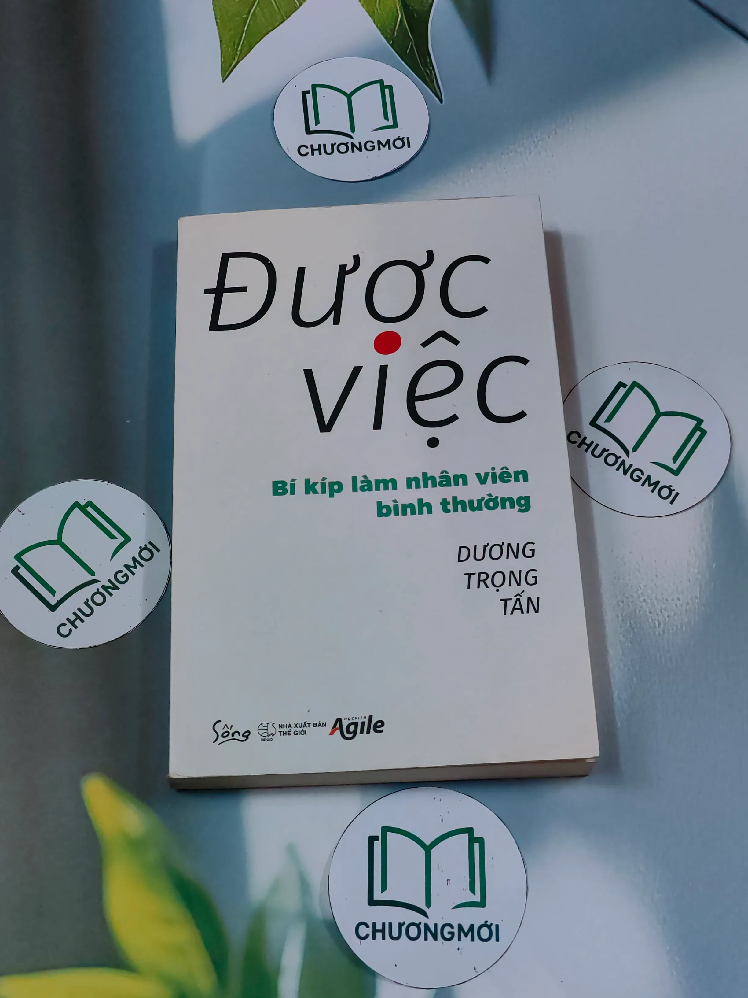 Được việc - Dương Trọng Tấn