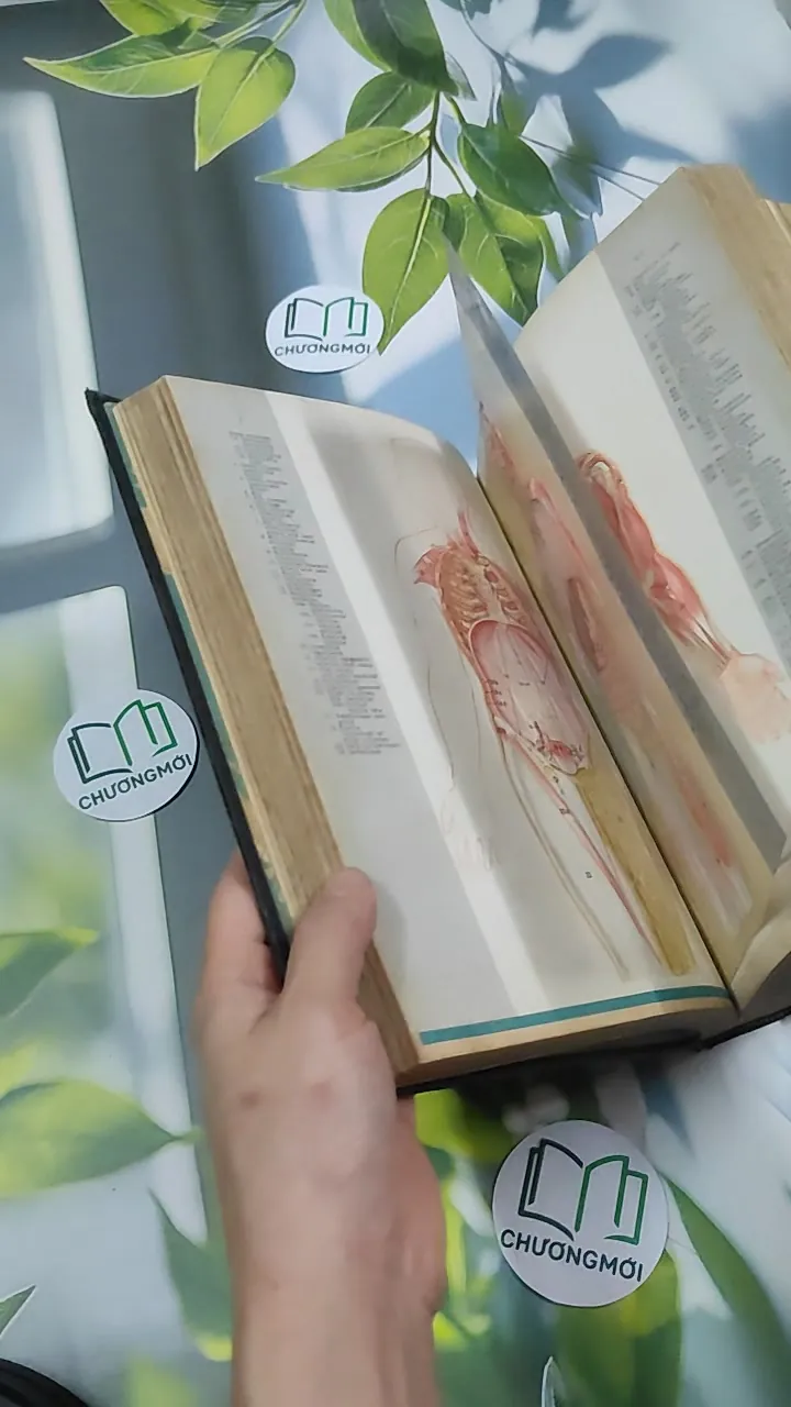 [MIỄN PHÍ BỌC SÁCH] Encyclopedia Americana 30 - Scholastic 750842