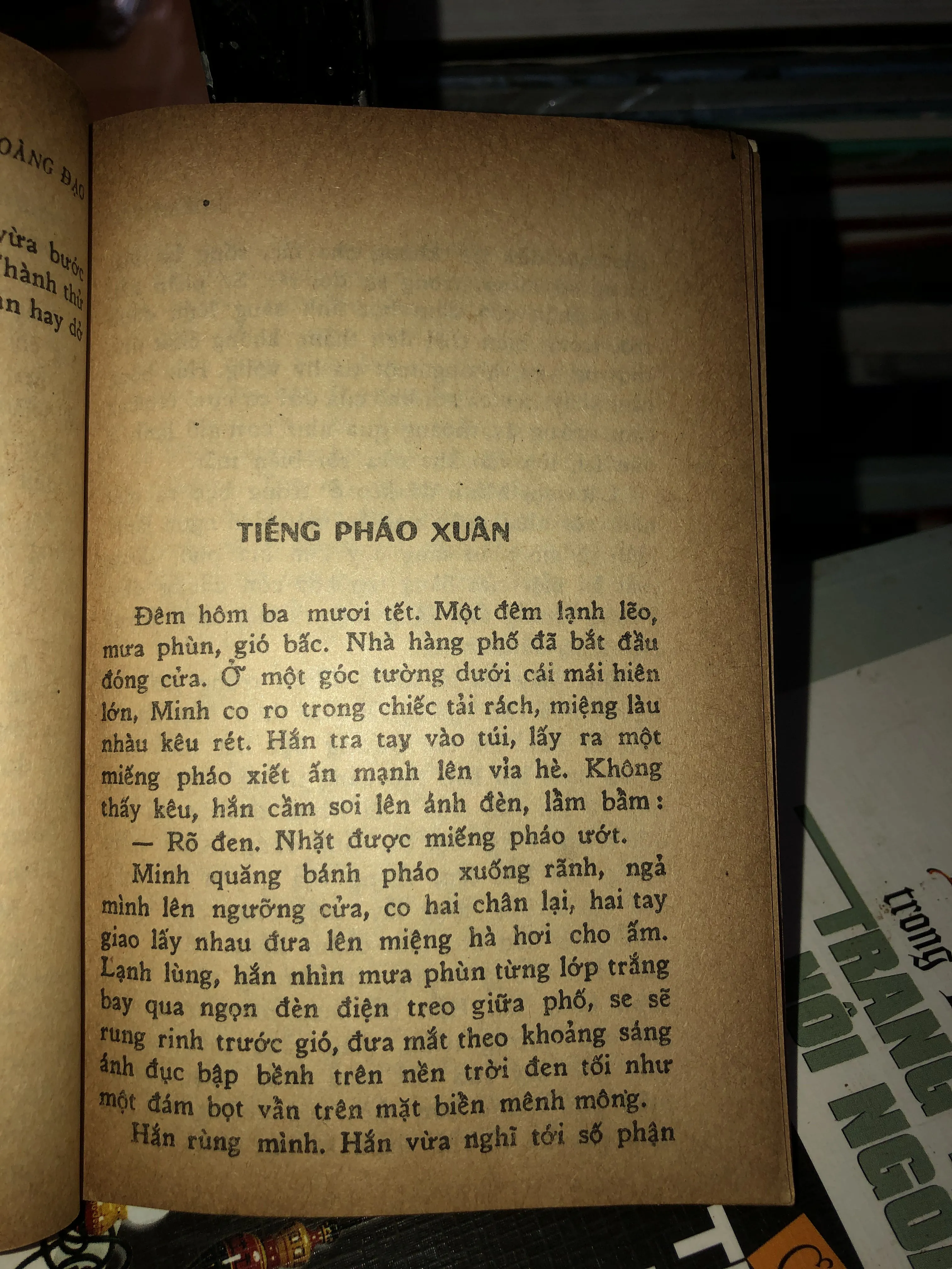 Tiếng Đàn - Hoàng Đạo 1001352