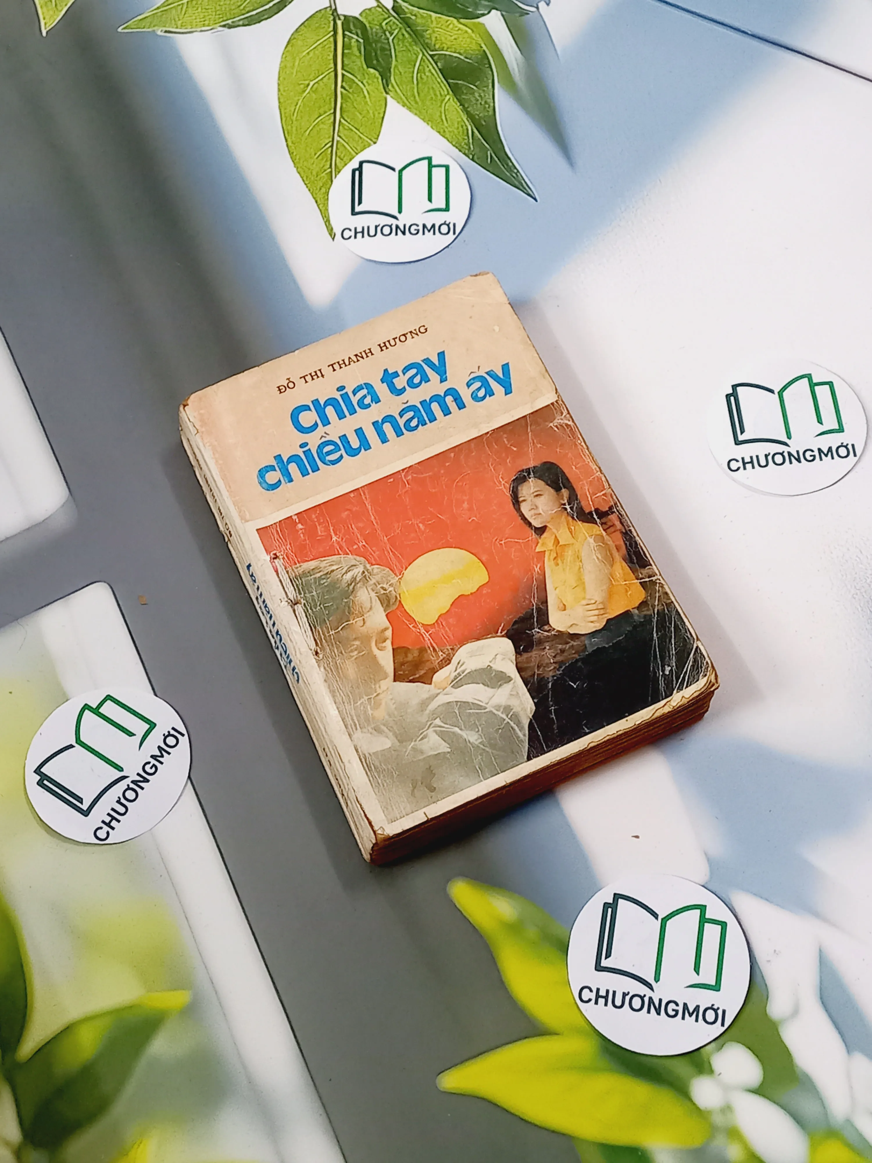 [XƯA] Chia Tay Chiều Năm Ấy (1991) - Đỗ Thị Thanh Hương