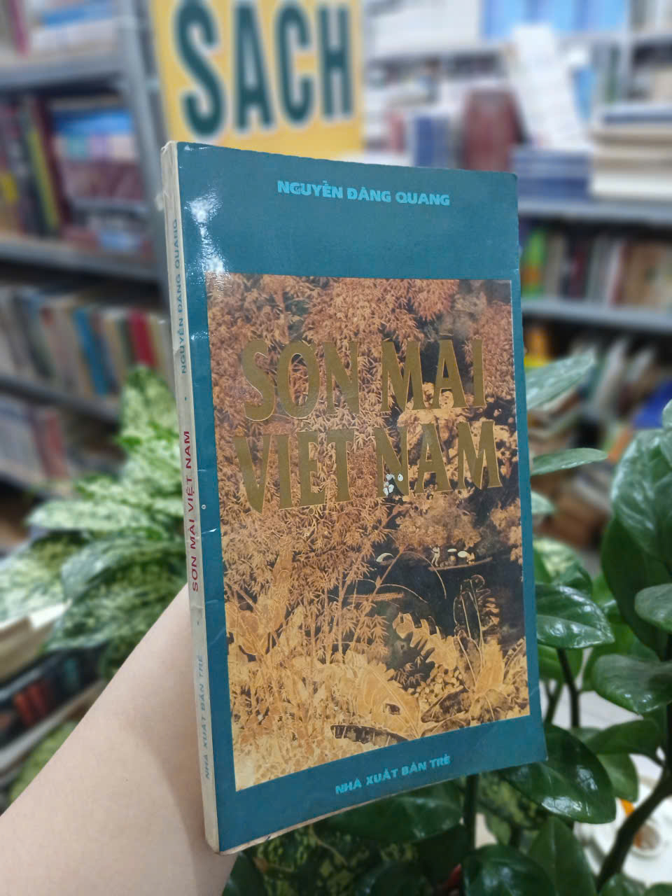 SƠN MÀI VIỆT NAM - NGUYỄN ĐĂNG QUANG