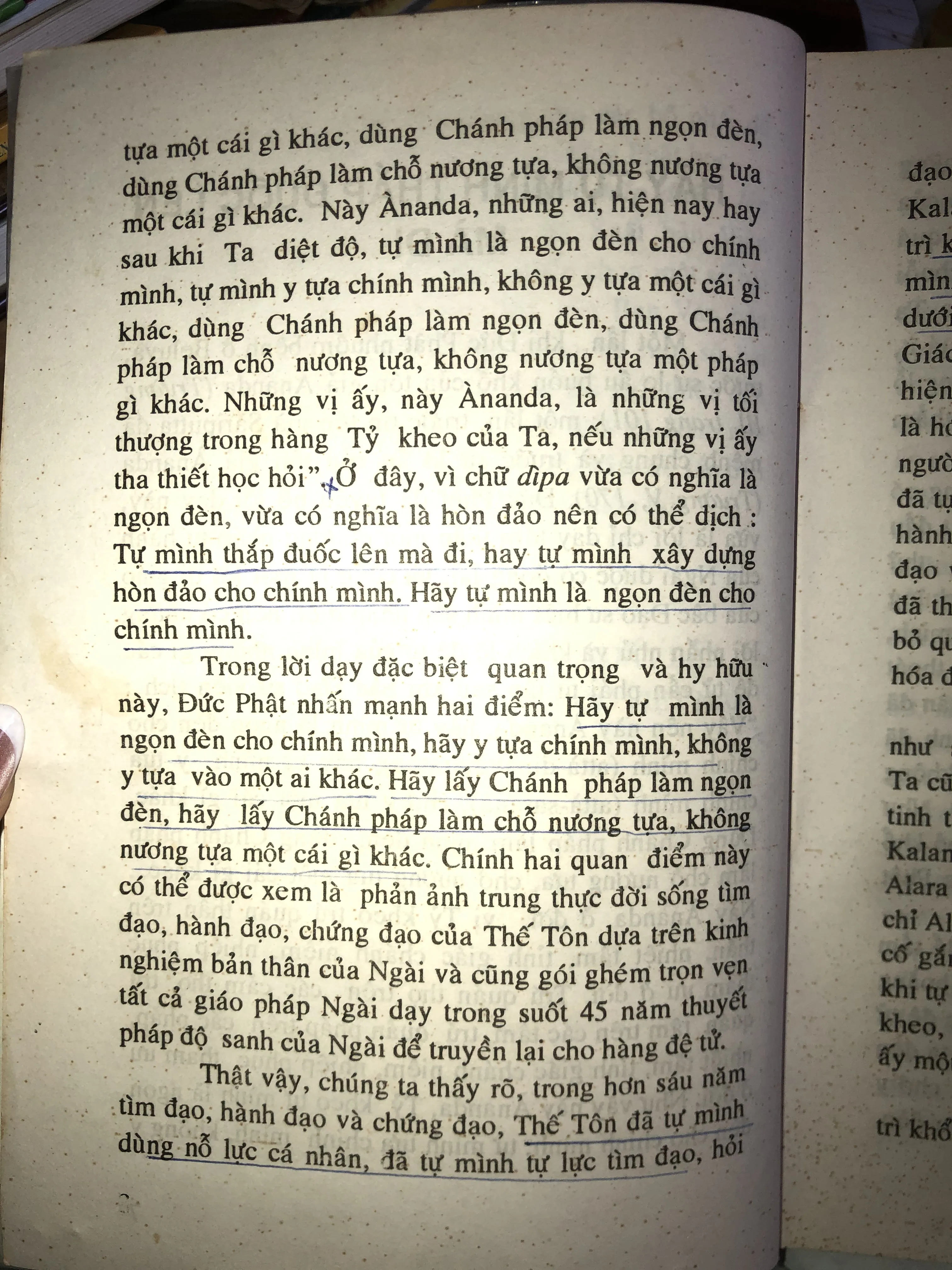 Hãy tự mình thắp đuốc lên - Thích Minh Châu 1001189