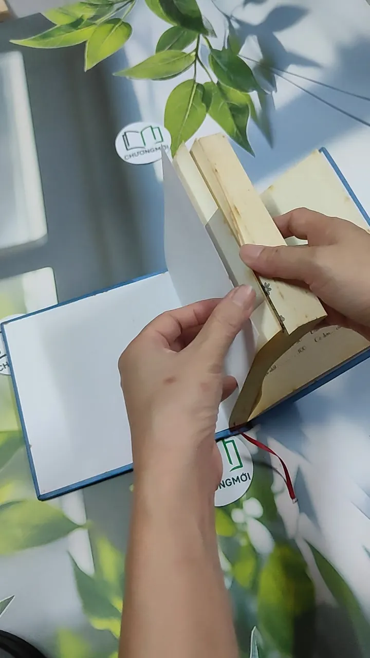 Người Lớn Cô Đơn - Phan Ý Yên 750832