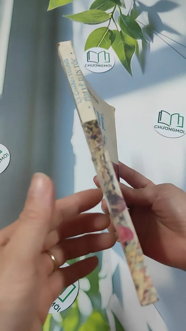 [MIỄN PHÍ BỌC SÁCH] [XƯA] Tìm Về Dân Tộc (1990) - Lý Chánh Trung 776027