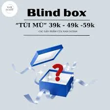 Túi mù quần áo váy nữ 59K