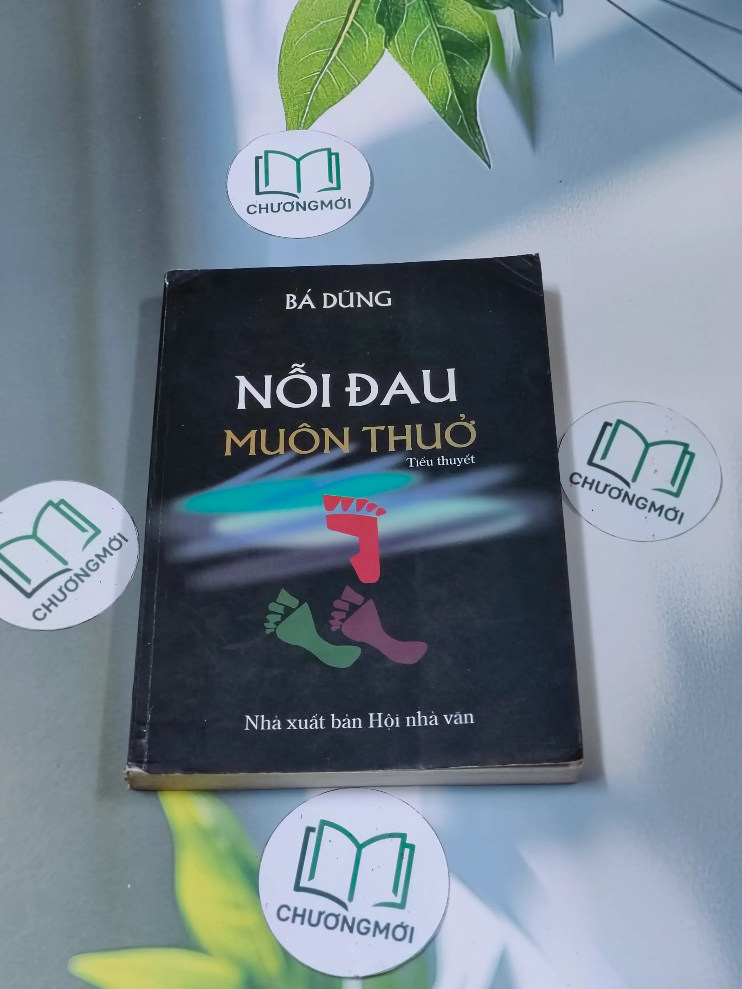 Nỗi đau muôn thuở - Bá Dũng