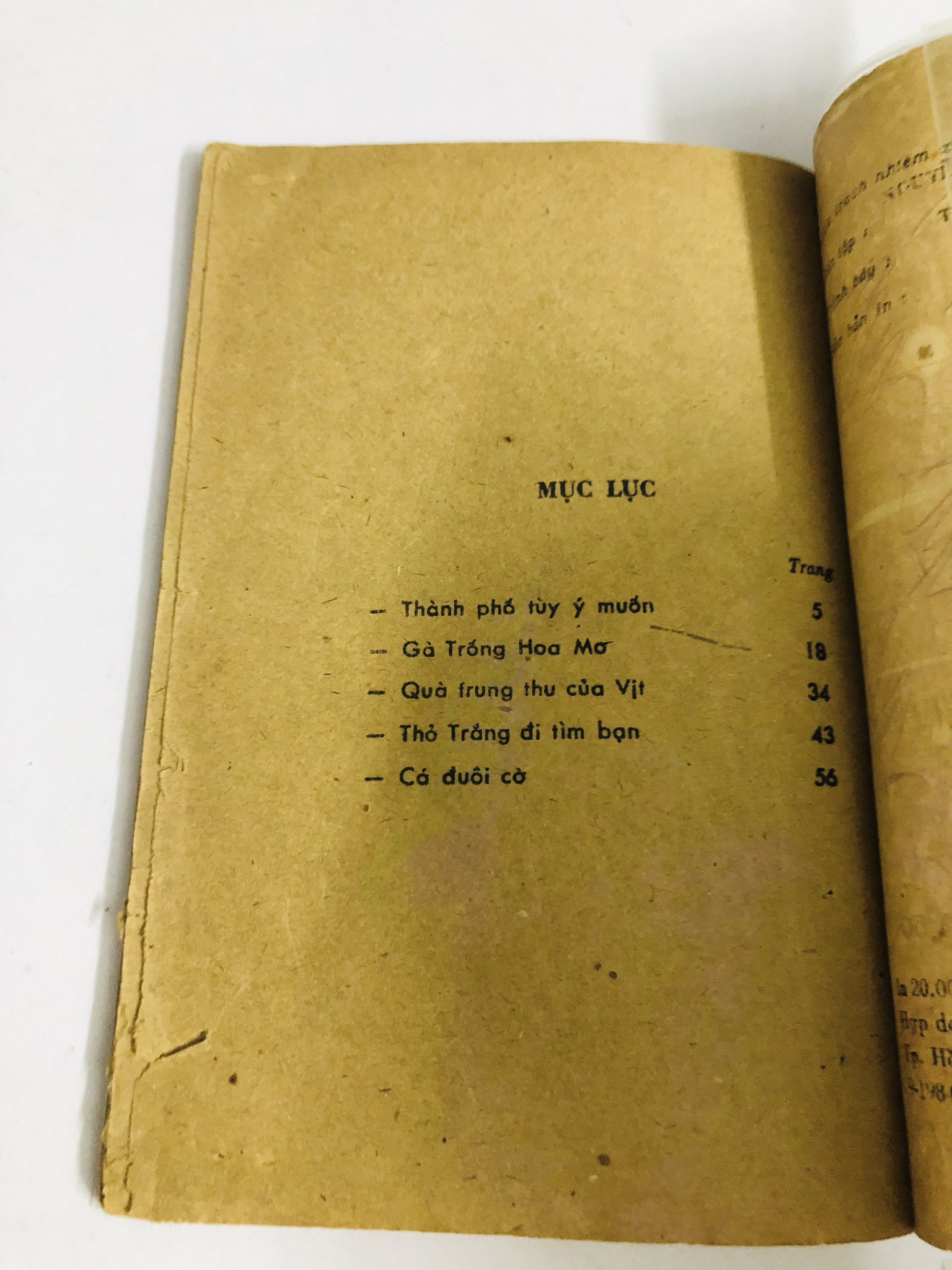 📚 THÀNH PHỐ TUỲ Ý MUỐN NXB: Măng Non, 1984 545968