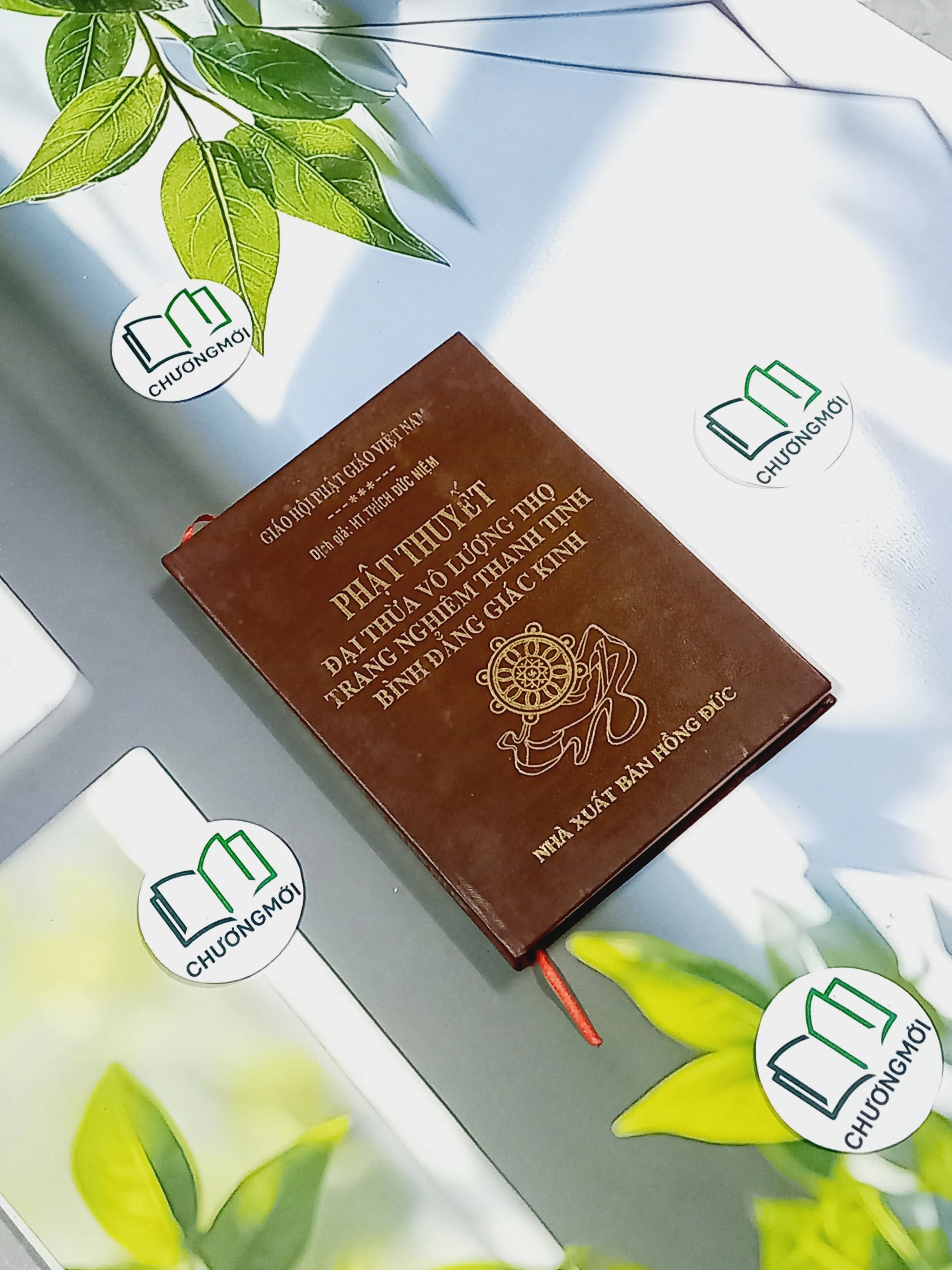 Đại Thừa Vô Lượng Thọ Trang Nghiêm Thanh Tịnh Bình Đẳng Giác Kinh - HT. Thích Đức Niệm