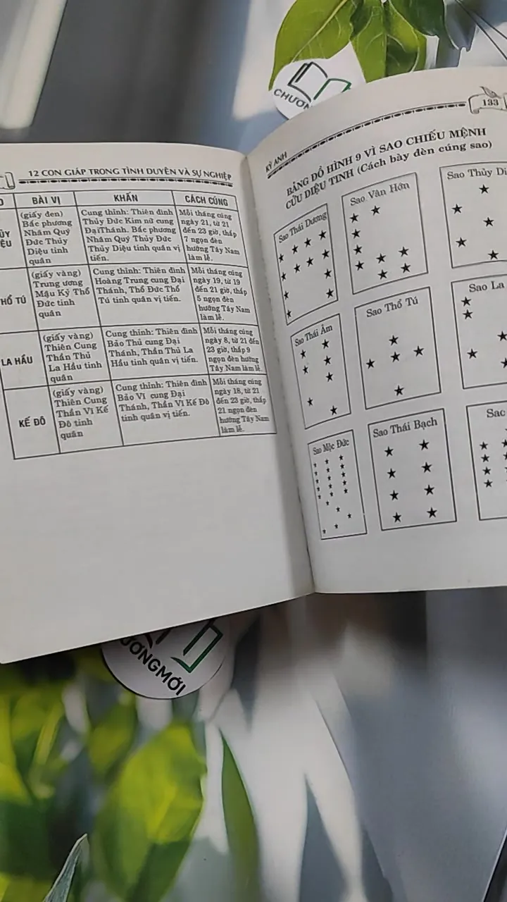 12 Con Giáp: Tình Duyên & Sự Nghiệp - Kỳ Anh 776127