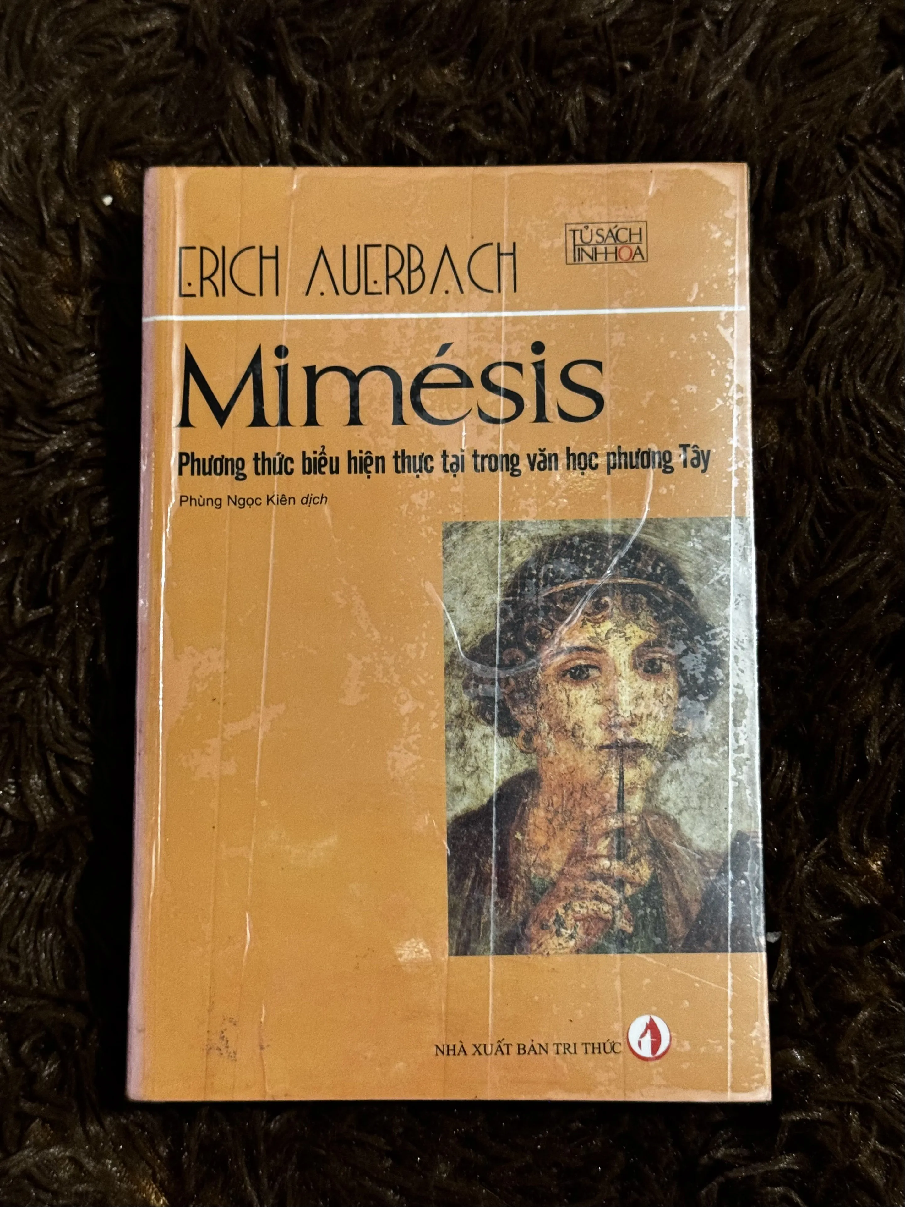 Mimésis phương thức biểu hiện thực tại trong VHPT